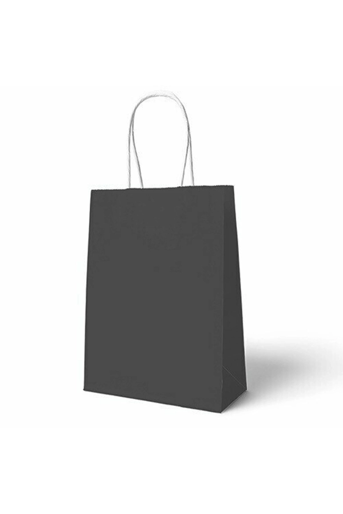 18x8x24 Büküm Saplı Çanta 5'li 301084