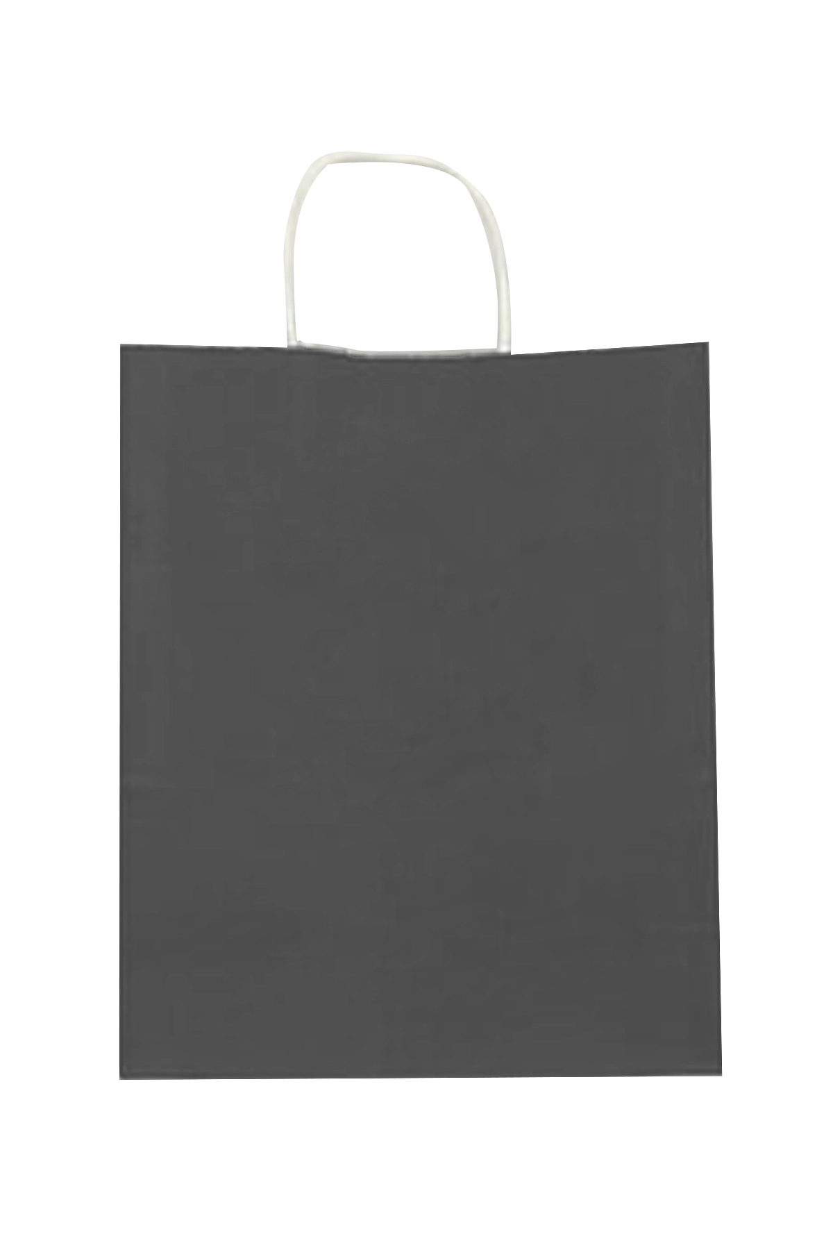25x12x31 Büküm Saplı Çanta 5'li 301112