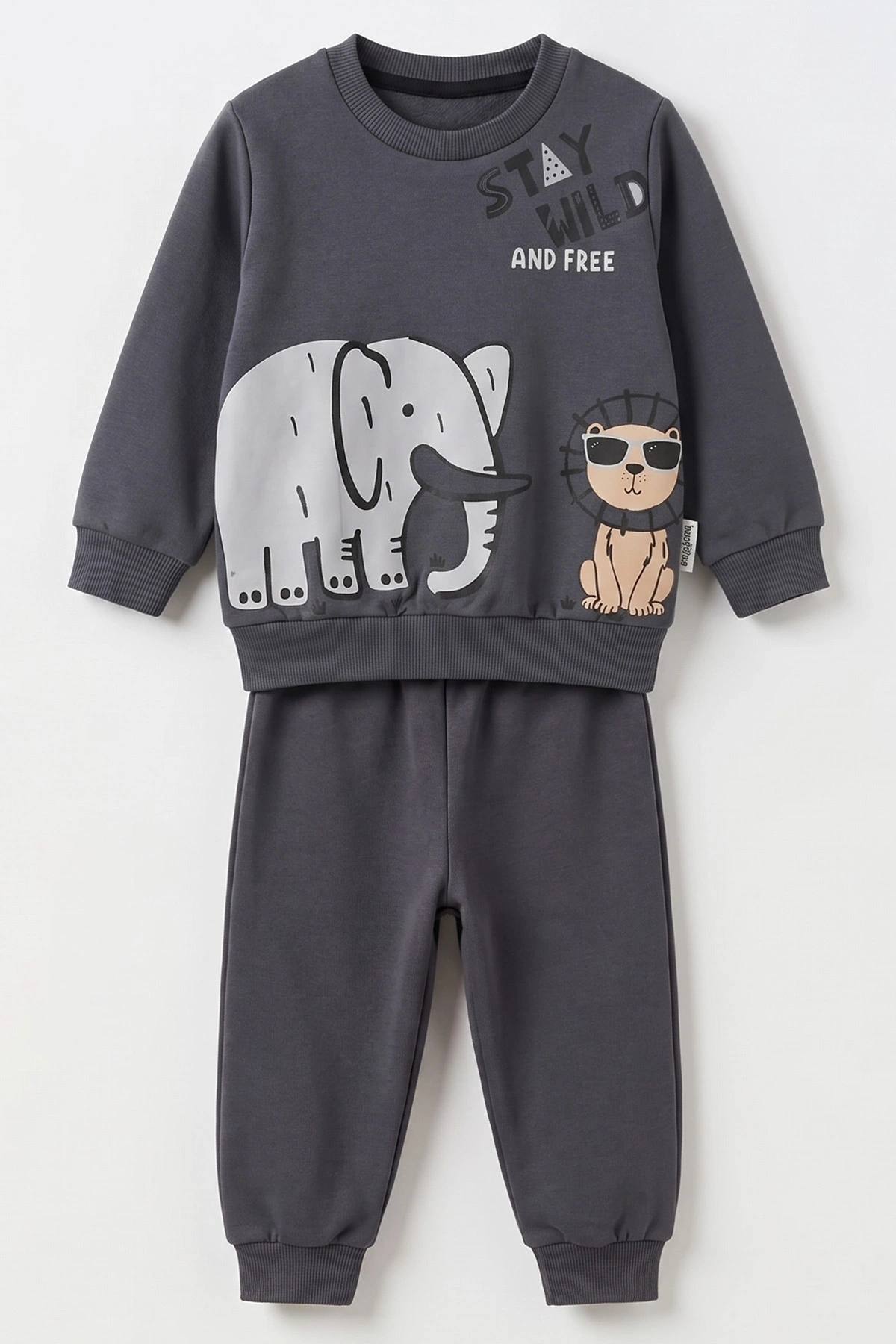 Antrasit (1-4 Yaş) Fil ve Aslan Baskılı 2 İp Erkek Çocuk&Bebek Mevsimlik Takım 495075
