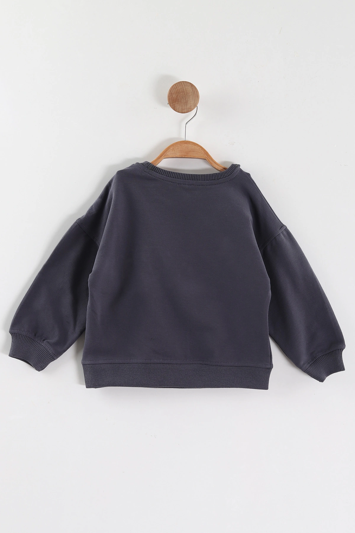 Antrasit (1-4 Yaş)Ayıcık Aksesuarlı Erkek Çocuk Sweatshirt 432823