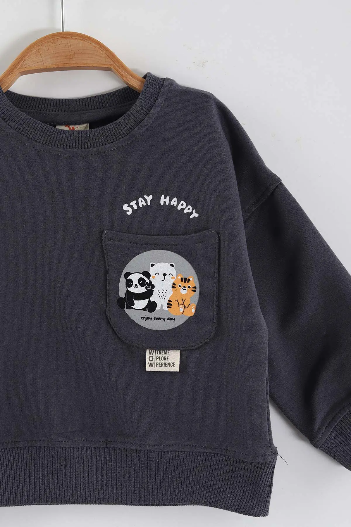 Antrasit (1-4 Yaş)Baskılı Cepli Erkek Çocuk Sweatshirt 432839
