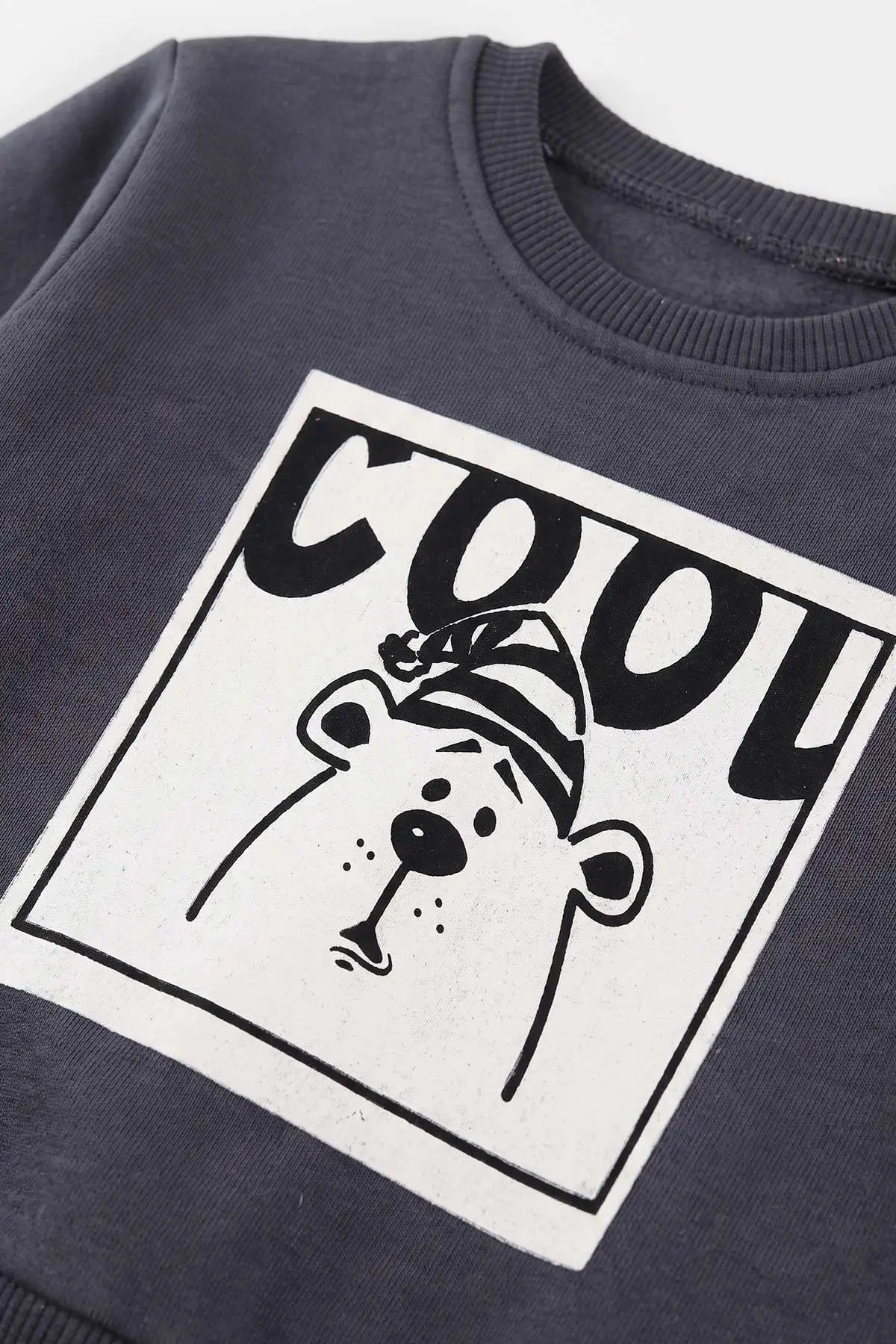 Antrasit (1-4 Yaş)Cool Ayıcık Baskılı 3 İp Şardonlu Erkek Çocuk&Bebek Kışlık Takım 489451