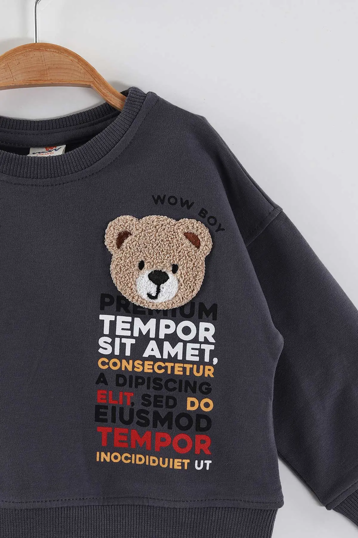 Antrasit (1-4 Yaş)Süzene Nakışlı Baskılı Erkek Çocuk Sweatshirt 432905