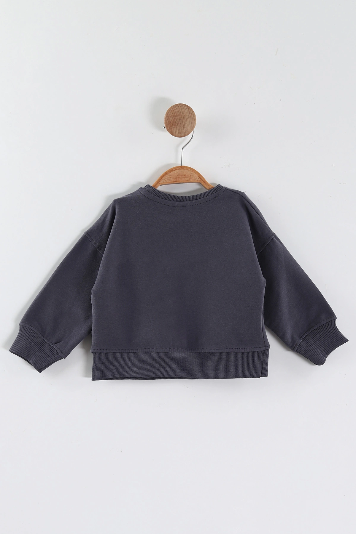 Antrasit (1-4 Yaş)Süzene Nakışlı Baskılı Erkek Çocuk Sweatshirt 432905
