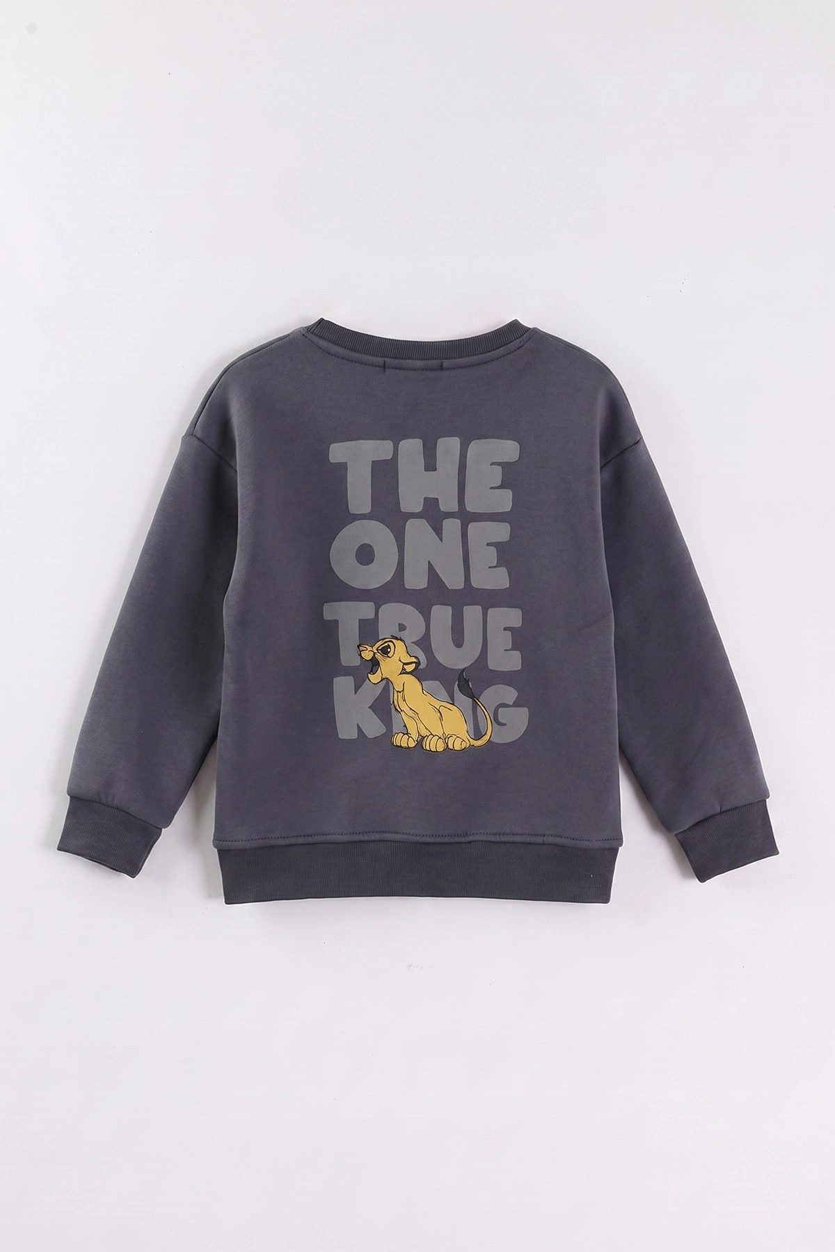 Antrasit (3-12 Yaş) Aslan Baskılı Şardonlu 3 İp Erkek Çocuk Sweatshirt 473921