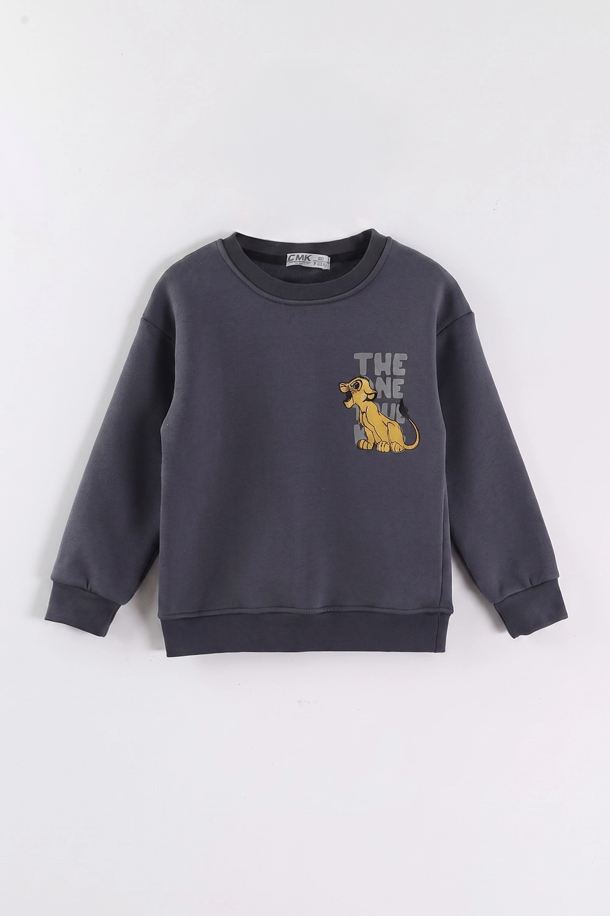 Antrasit (3-12 Yaş) Aslan Baskılı Şardonlu 3 İp Erkek Çocuk Sweatshirt 473921