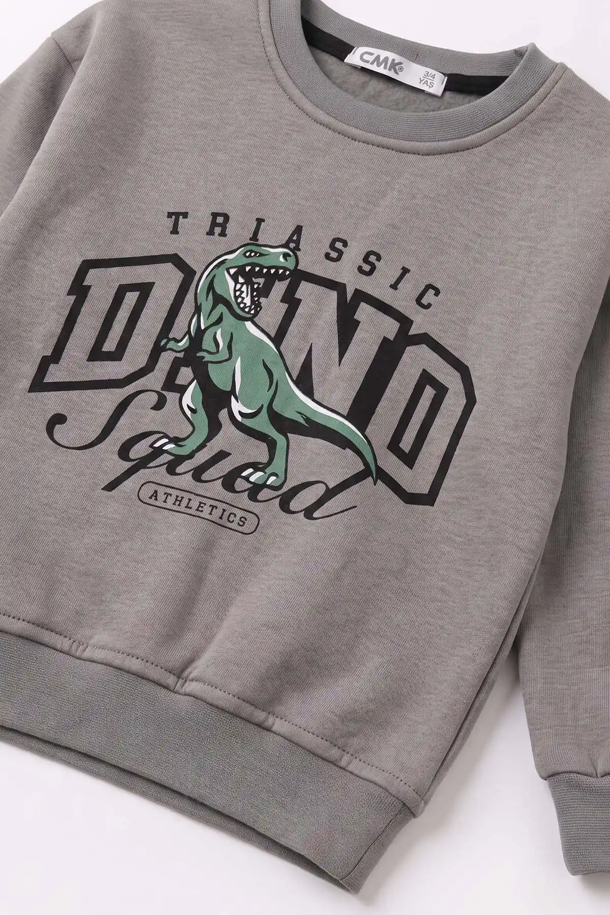 Antrasit (3-12 Yaş) Dino Baskılı 3 İp Şardonlu Erkek Çocuk Sweatshirt 483908