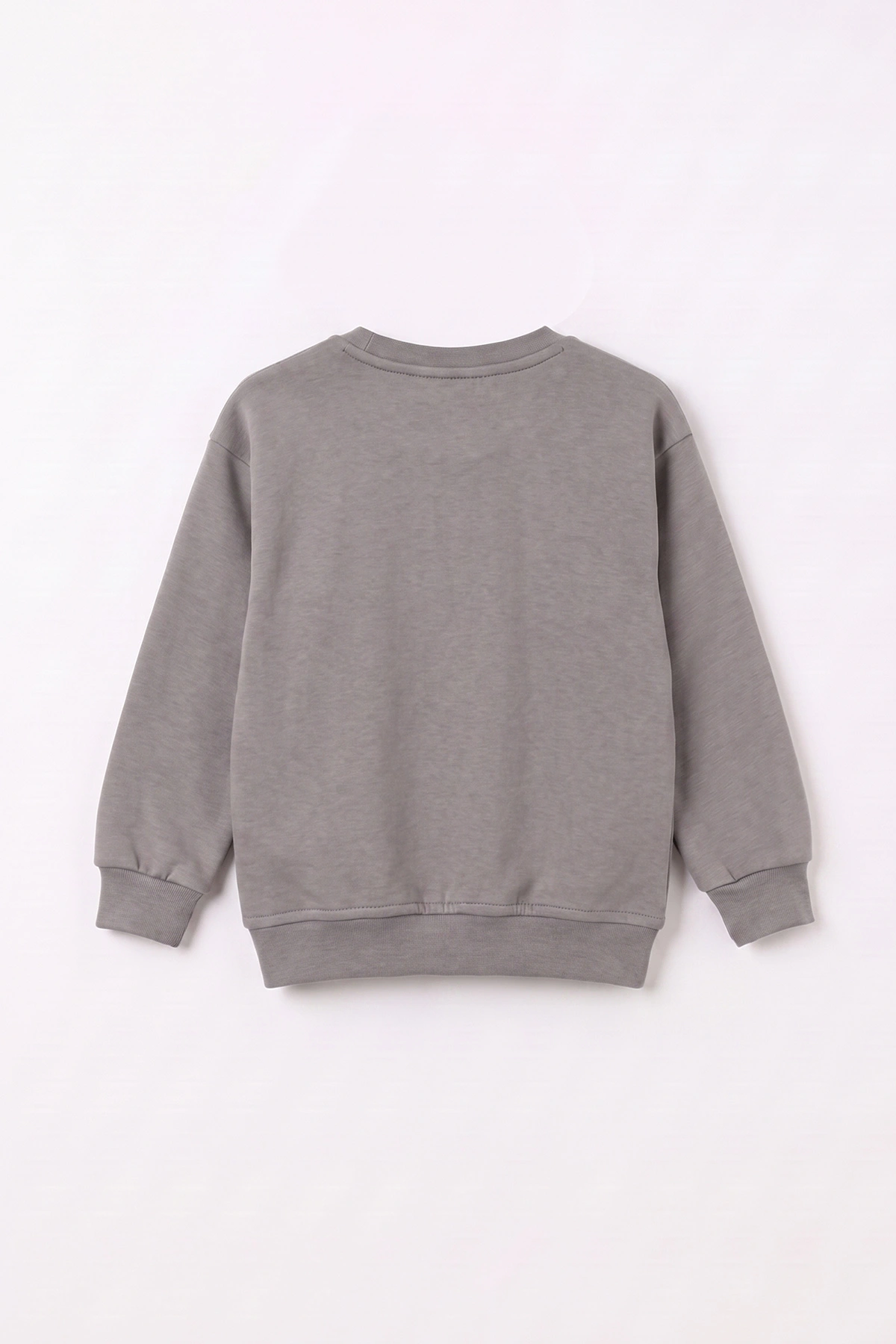 Antrasit (3-12 Yaş) Dino Baskılı 3 İp Şardonlu Erkek Çocuk Sweatshirt 483908