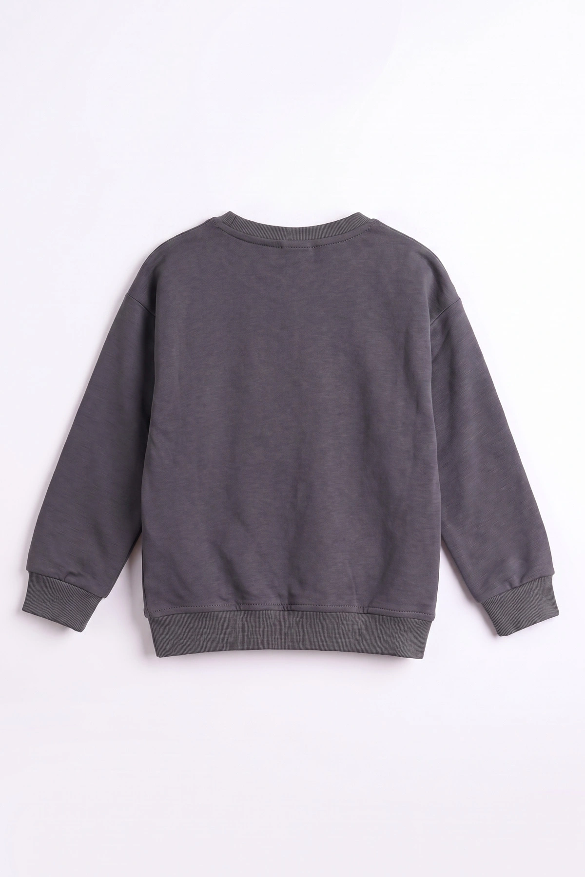 Antrasit (3-12 Yaş) Dont Give Baskılı Erkek Çocuk Sweatshirt 479167