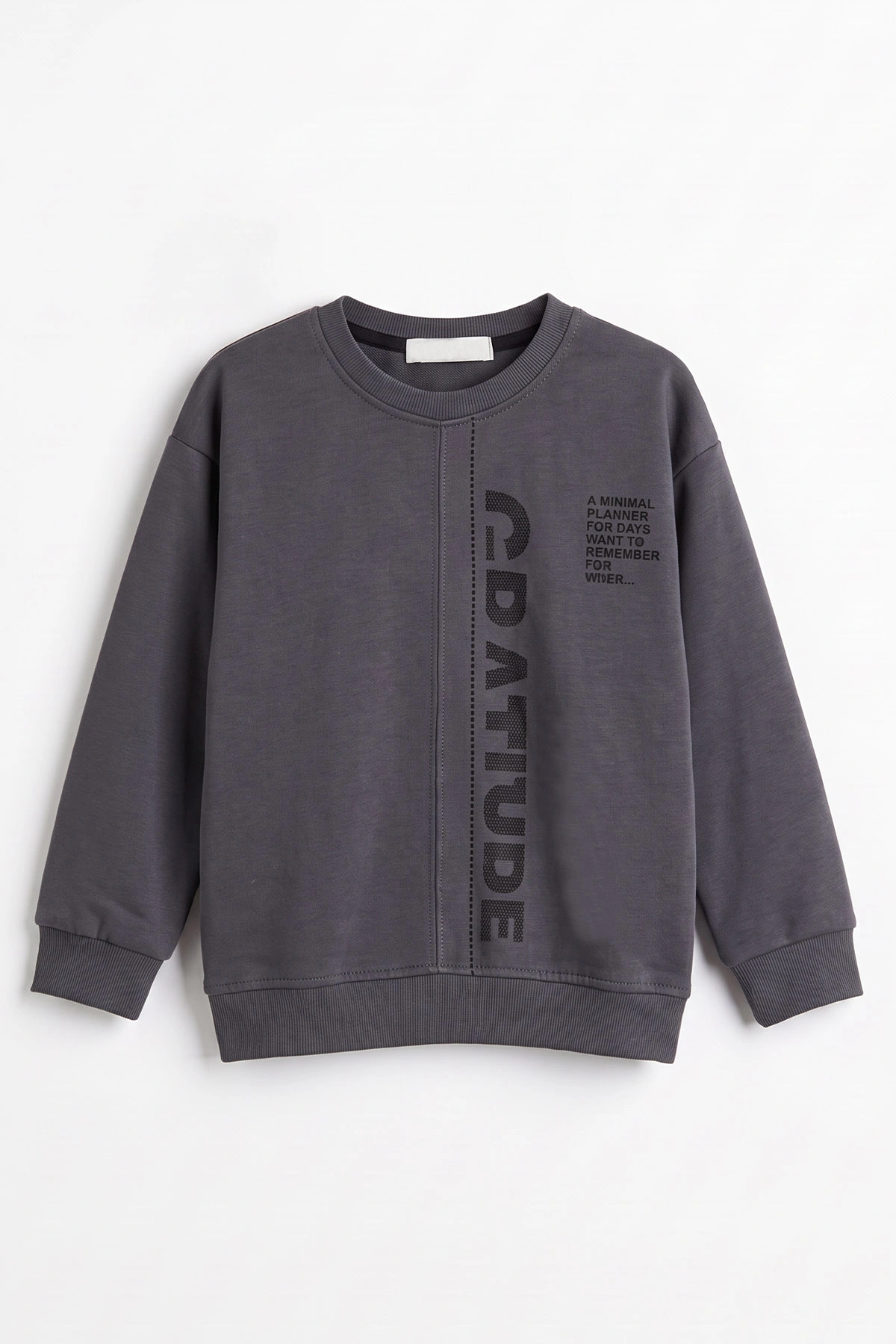 Antrasit (3-12 Yaş) Yazı Baskılı Erkek Çocuk Sweatshirt 478991