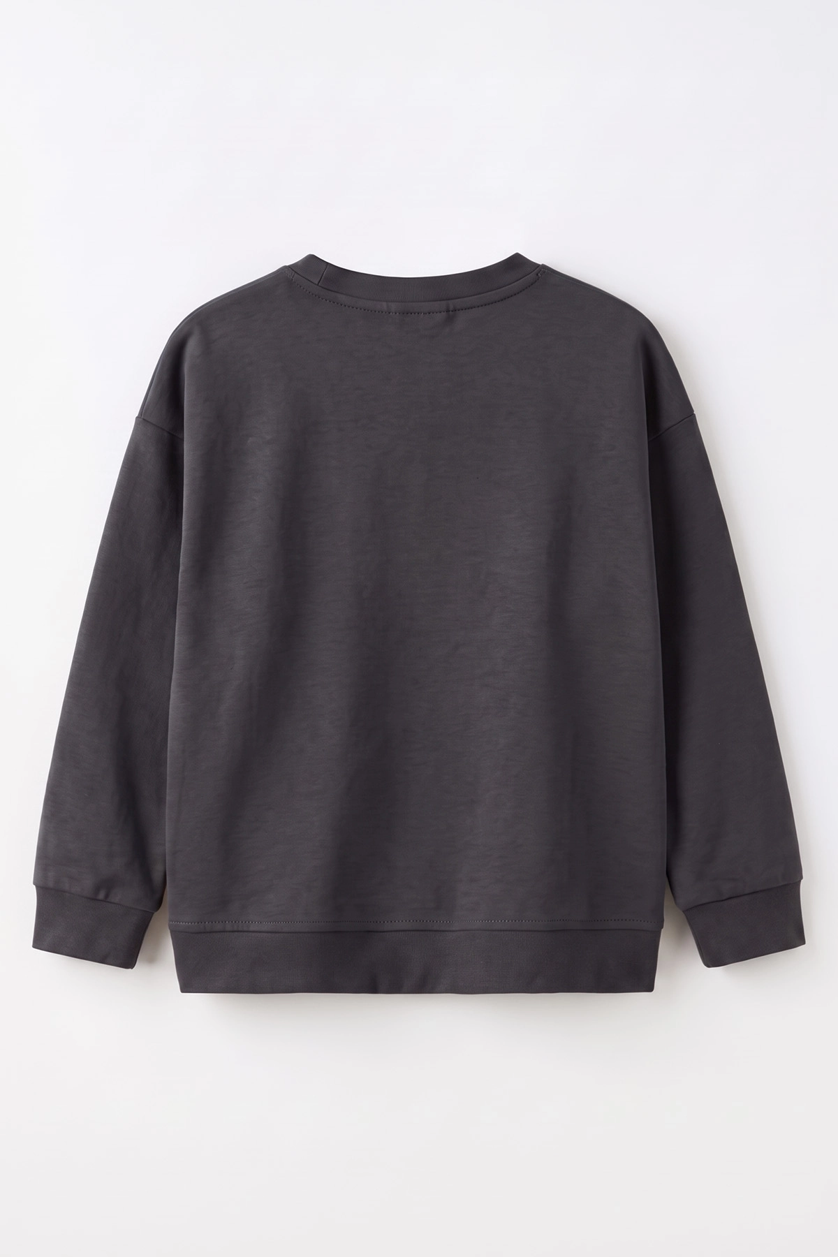 Antrasit (3-12 Yaş) Yazı Nakışlı Erkek Çocuk Sweatshirt 479961