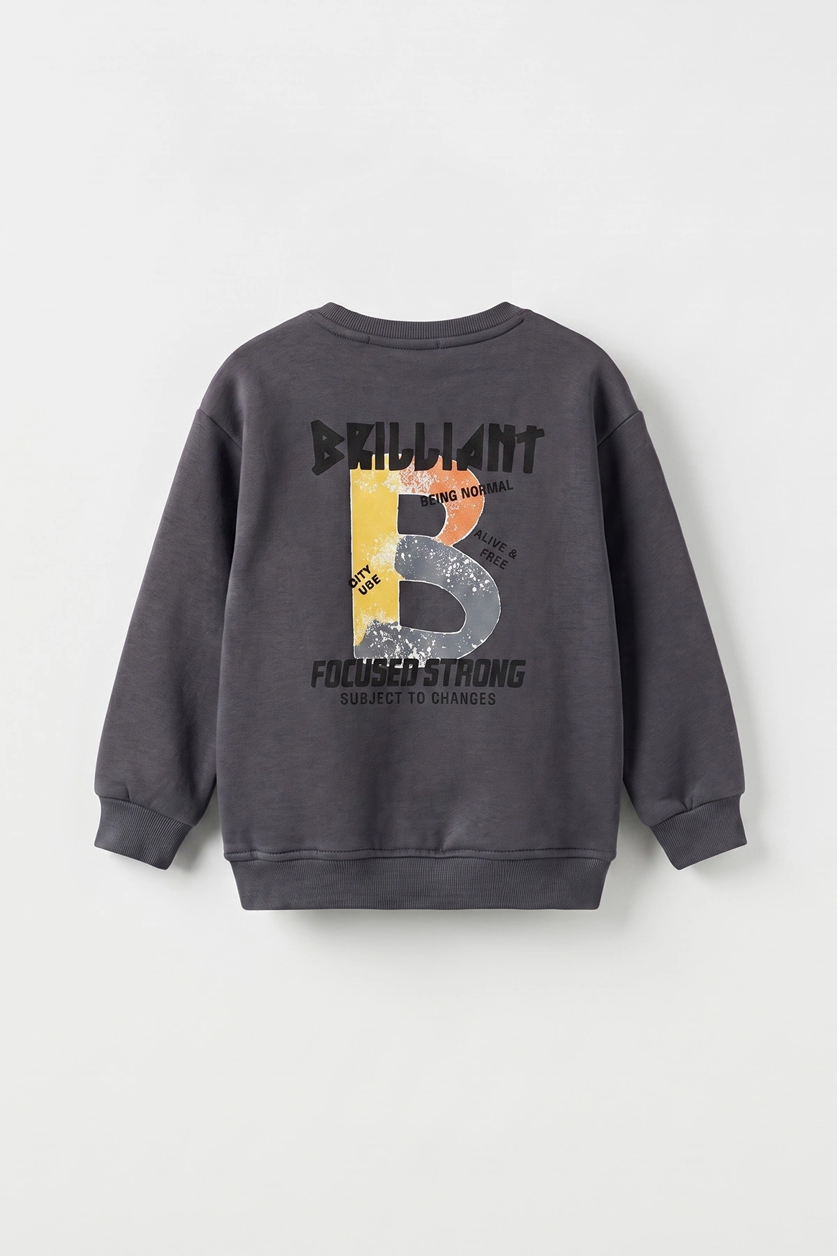 Antrasit (3-12 Yaş)Baskılı 2 İp Erkek Çocuk Sweatshirt 484123