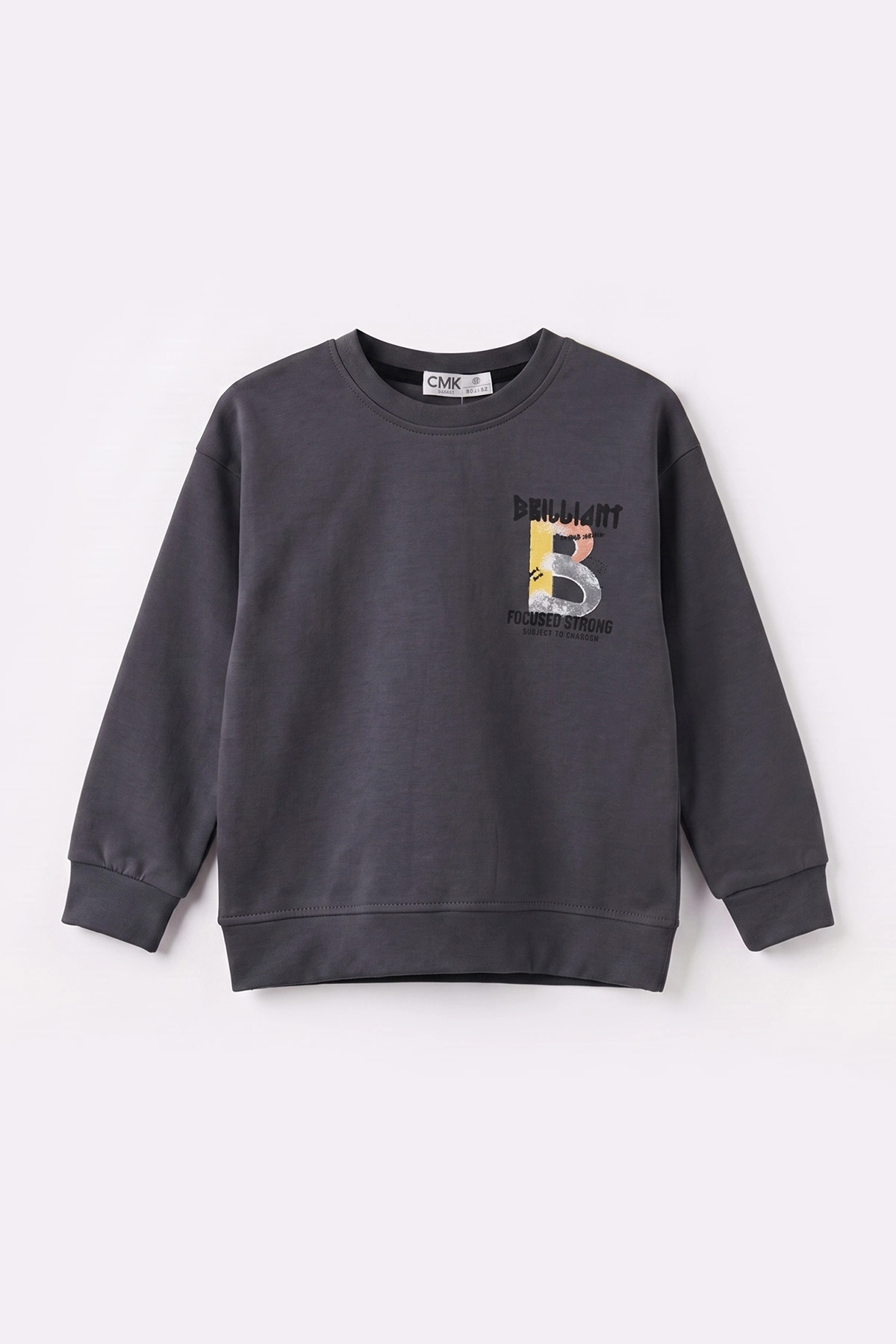 Antrasit (3-12 Yaş)Baskılı 2 İp Erkek Çocuk Sweatshirt 484123