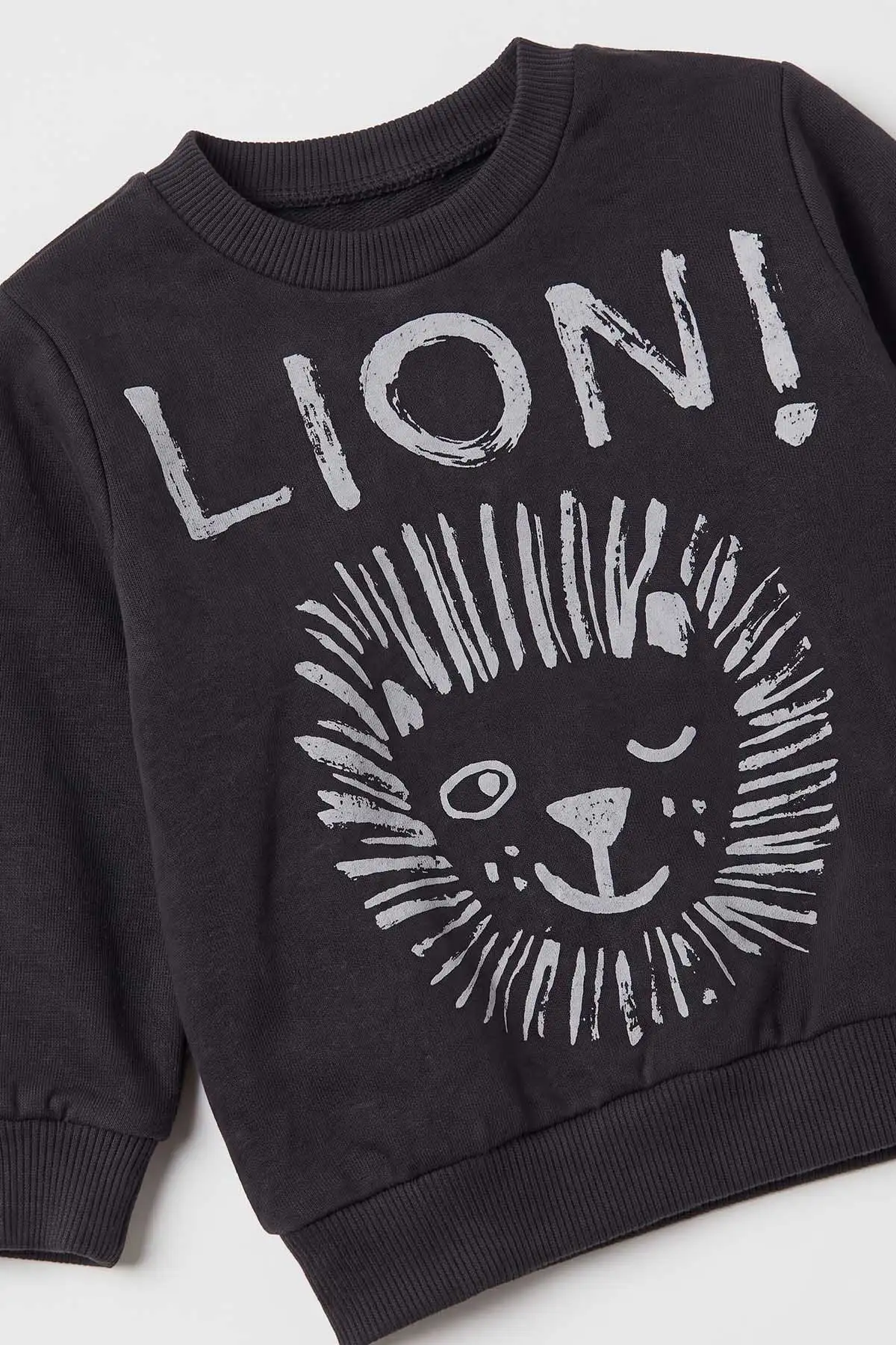 Antrasit (3-18 Ay) Lion Baskılı 2 İp Erkek Bebek Mevsimlik Takım 481162