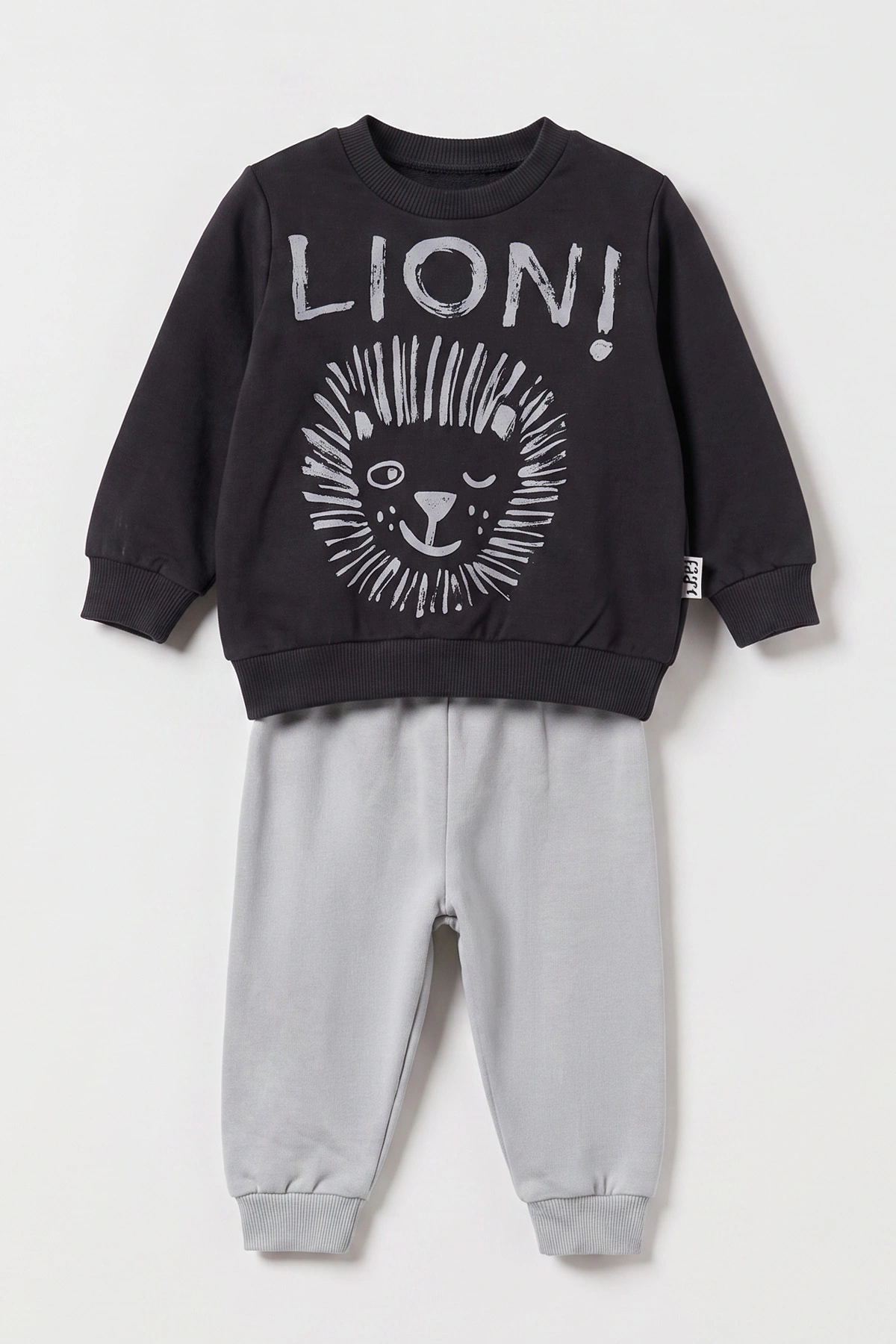 Antrasit (3-18 Ay) Lion  Baskılı 2 İp Erkek Bebek Mevsimlik Takım 481162