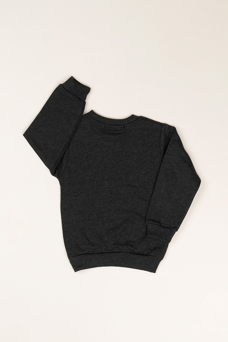 Antrasit İçi Şardonlu Baskılı Erkek Çocuk Sweat 81281