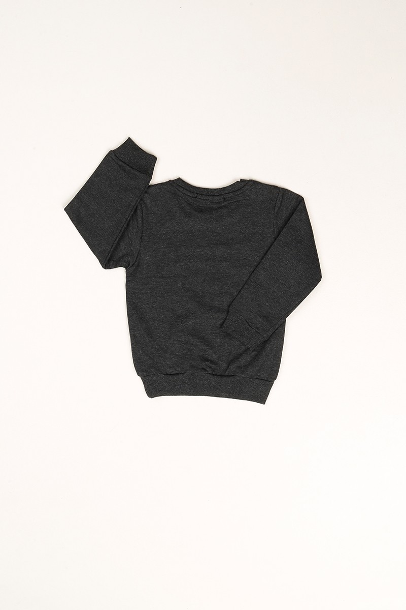 Antrasit İçi Şardonlu Monster Baskılı Erkek Çocuk Sweat 80974