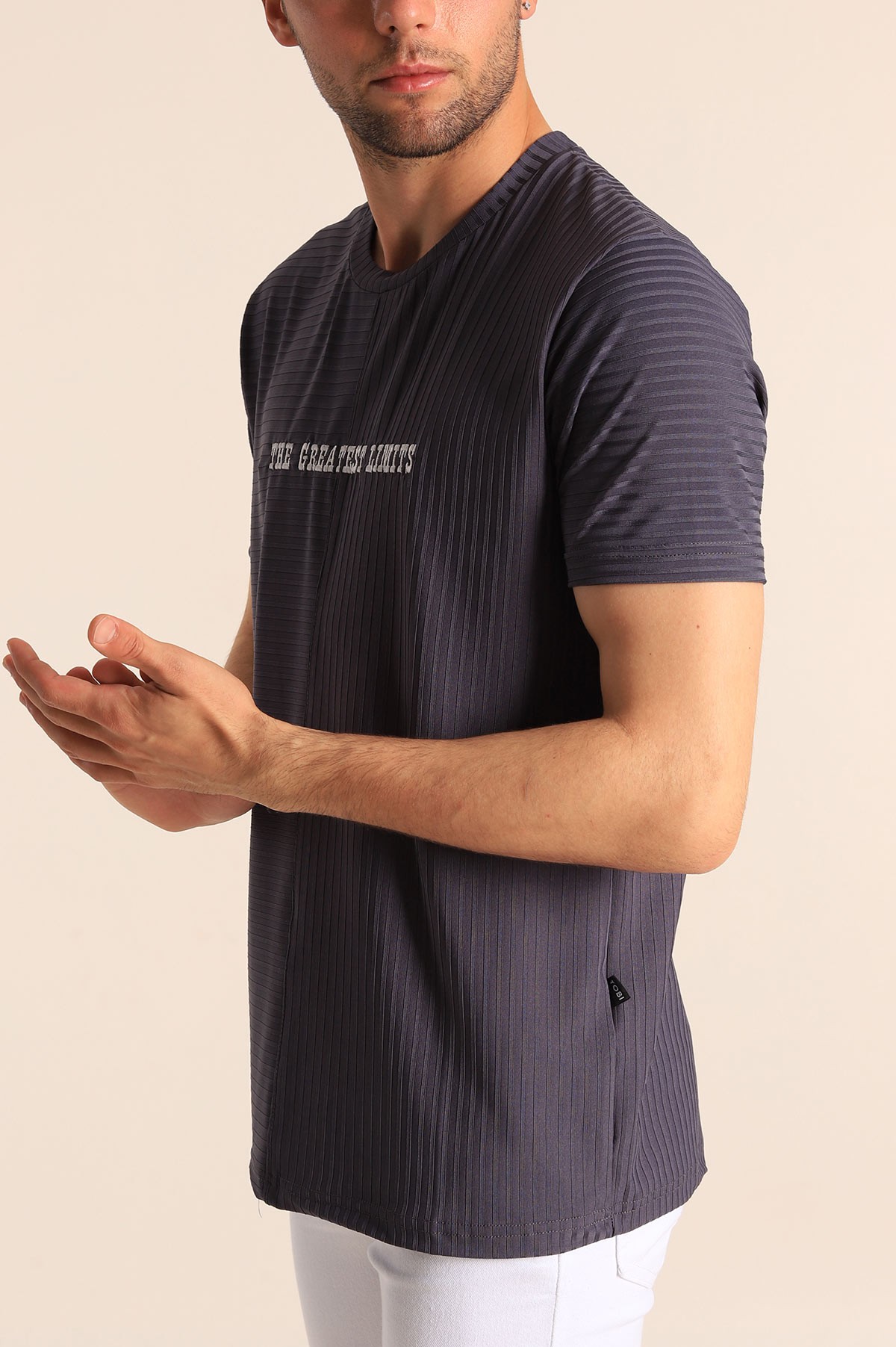 Antrasit Regular Fit Çizgi Dokulu Erkek Tişört 182313