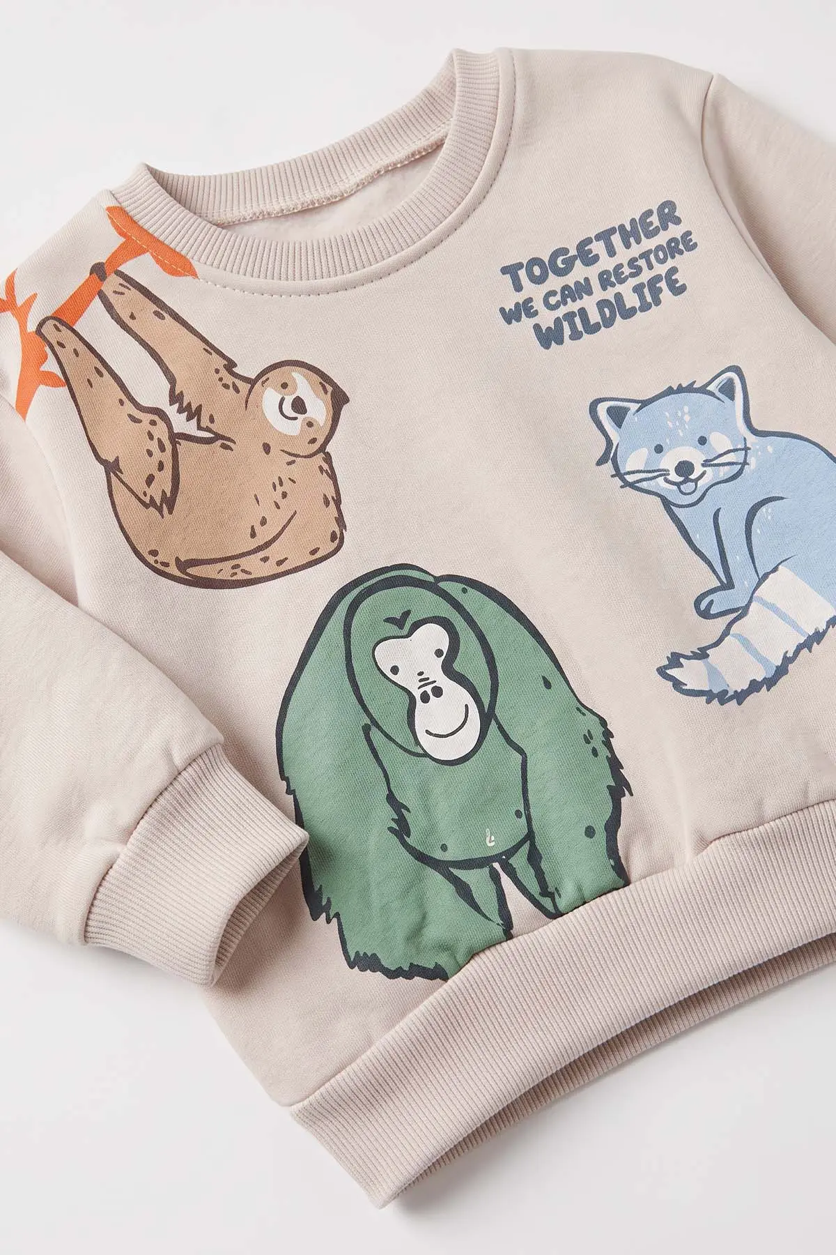 Bebe Mavisi (1-4 Yaş)Maymun ve Tilki Baskılı 3 İp Şardonlu Erkek Çocuk&Bebek Kışlık Takım 489449
