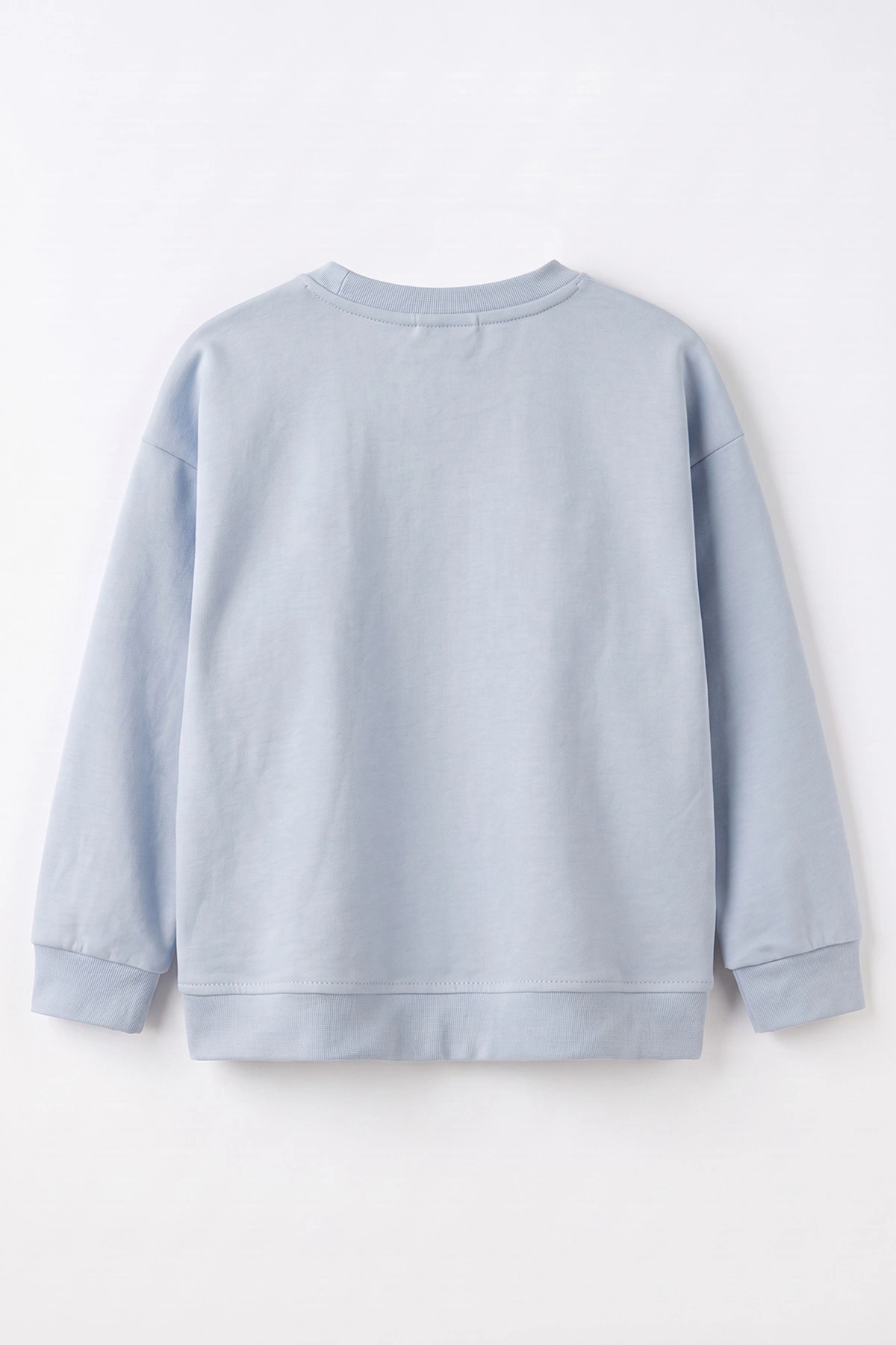 Bebe Mavisi (3-12 Yaş) Yazı Nakışlı Erkek Çocuk Sweatshirt 479962