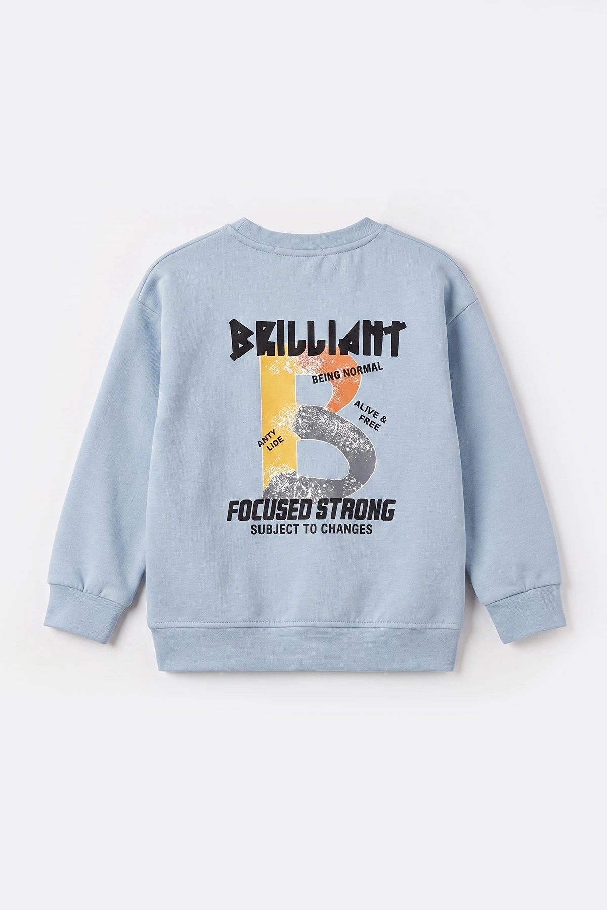 Bebe Mavisi (3-12 Yaş)Baskılı 2 İp Erkek Çocuk Sweatshirt 484125