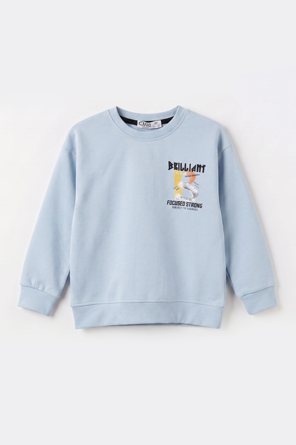 Bebe Mavisi (3-12 Yaş)Baskılı 2 İp Erkek Çocuk Sweatshirt 484125