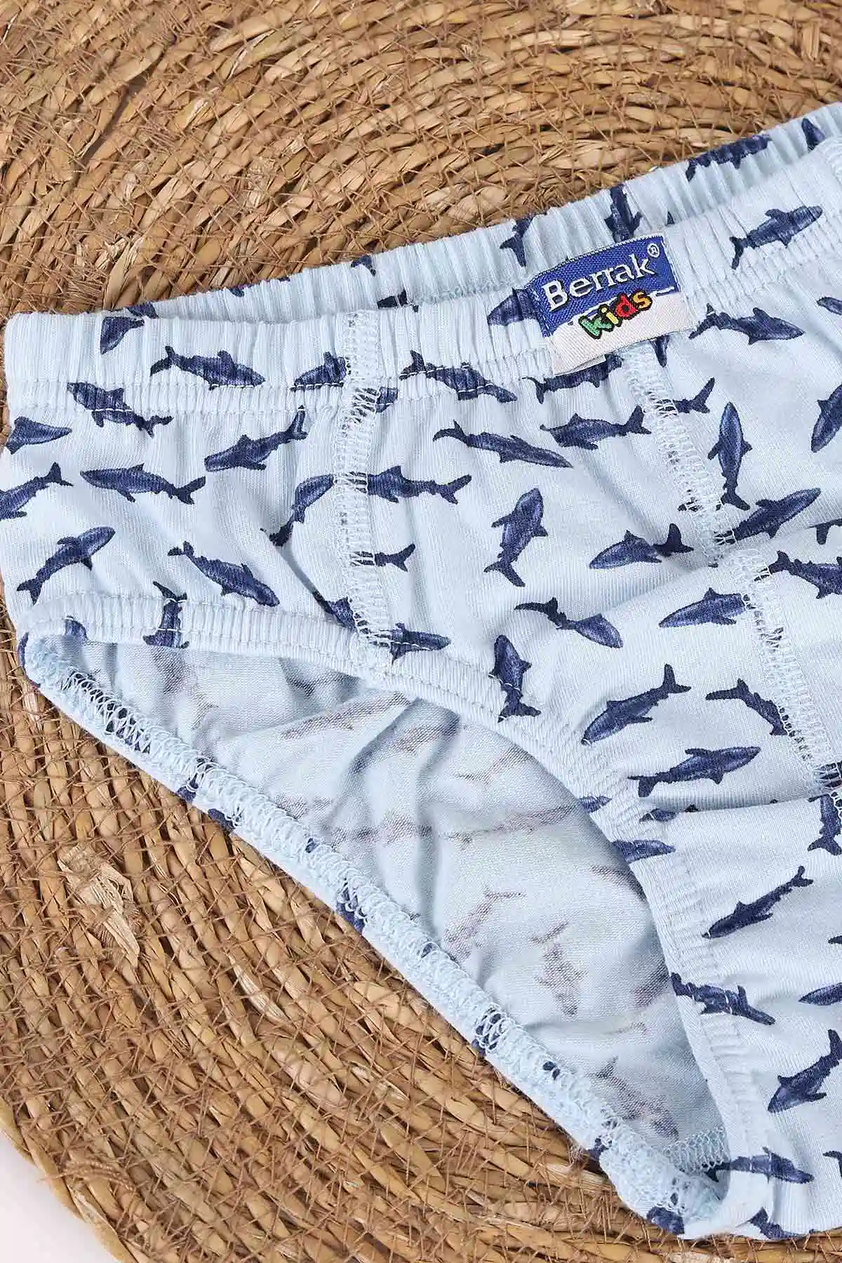 Bebe Mavisi Berrak ( 3-8 Yaş ) Baskılı Erkek Çocuk Boxer 460745
