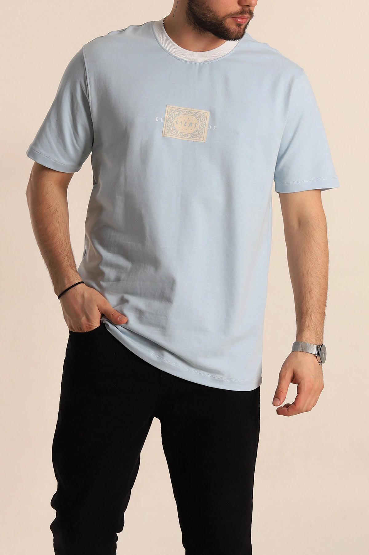 Bebe Mavisi Regular Fit Göğüs Baskılı Erkek Tişört 270637