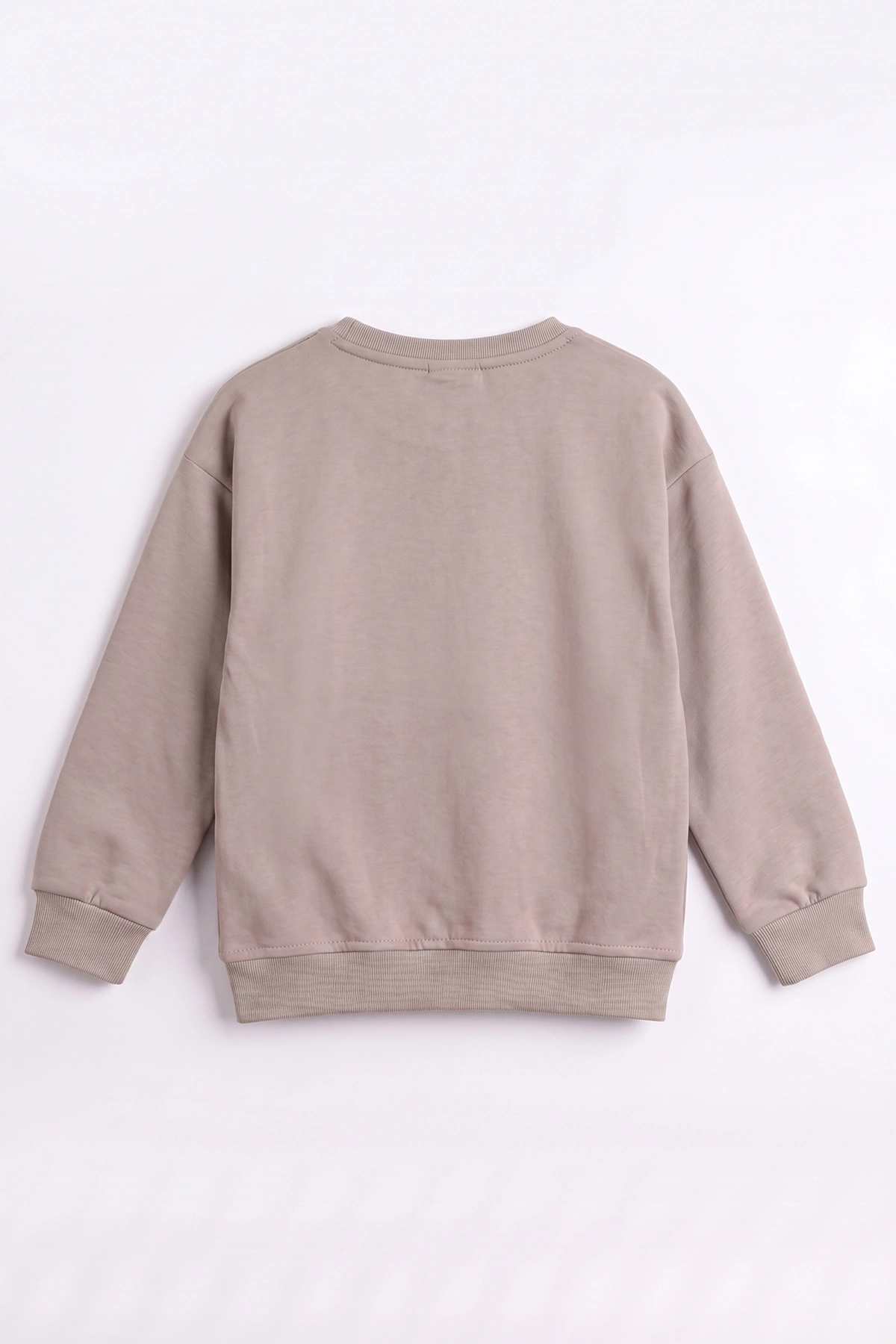 Bej (3-12 Yaş) Dont Give Baskılı Erkek Çocuk Sweatshirt 479165