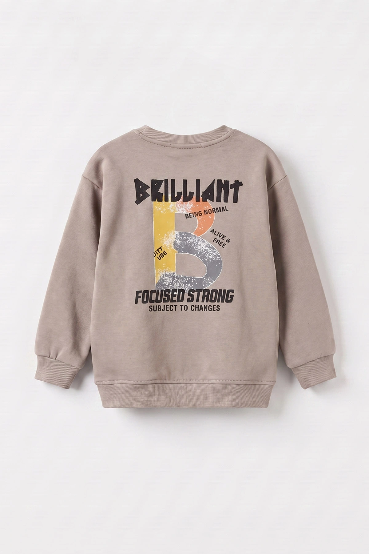 Bej (3-12 Yaş)Baskılı 2 İp Erkek Çocuk Sweatshirt 484121