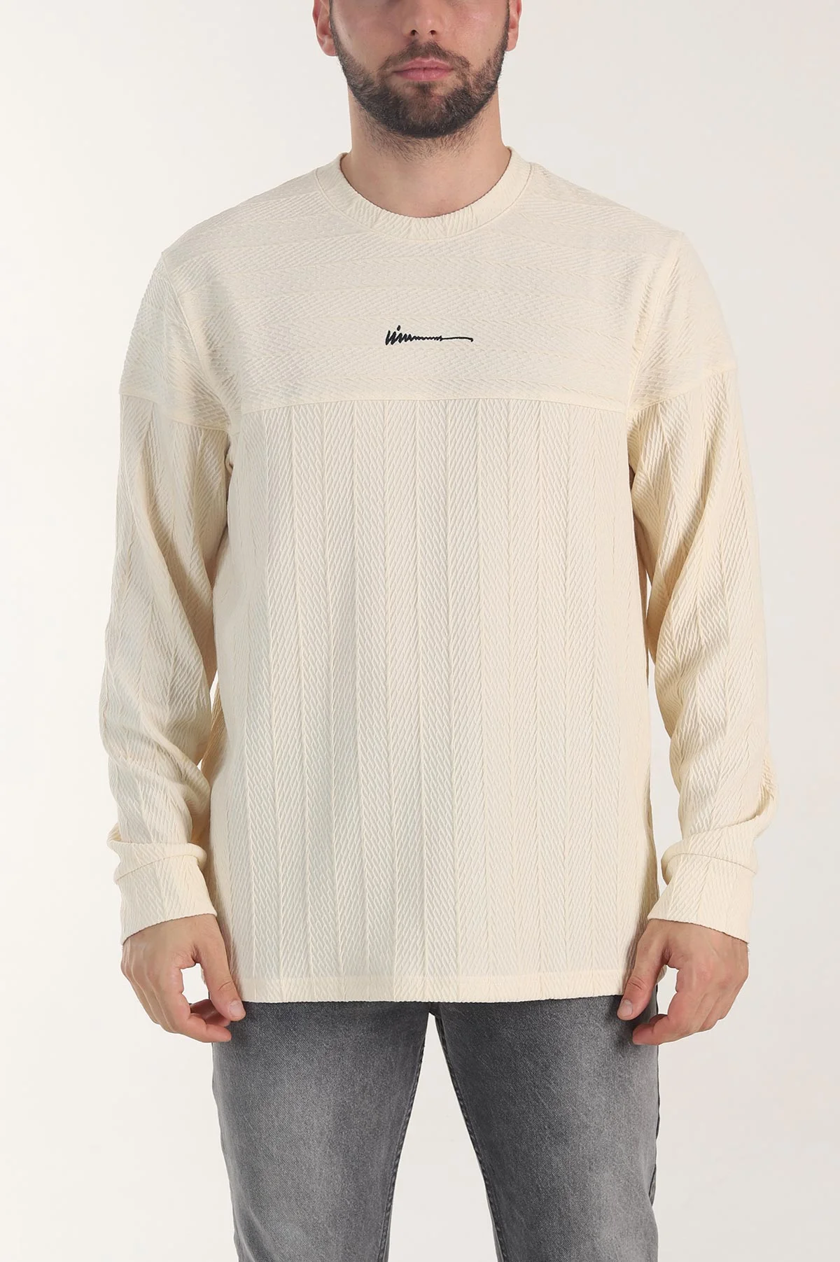 Bej Bisiklet Yaka Dokulu Nakış Detaylı Erkek Sweatshirt 406946