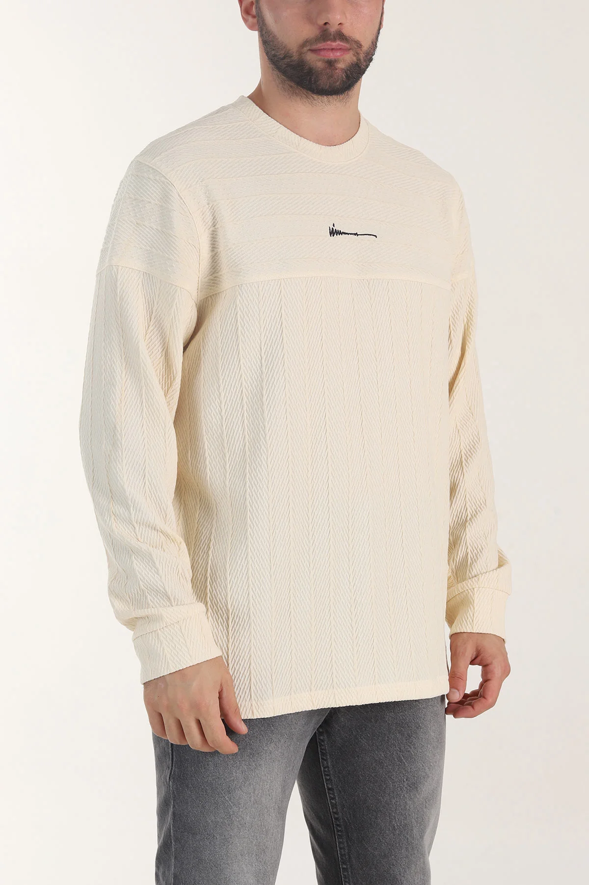 Bej Bisiklet Yaka Dokulu Nakış Detaylı Erkek Sweatshirt 406946