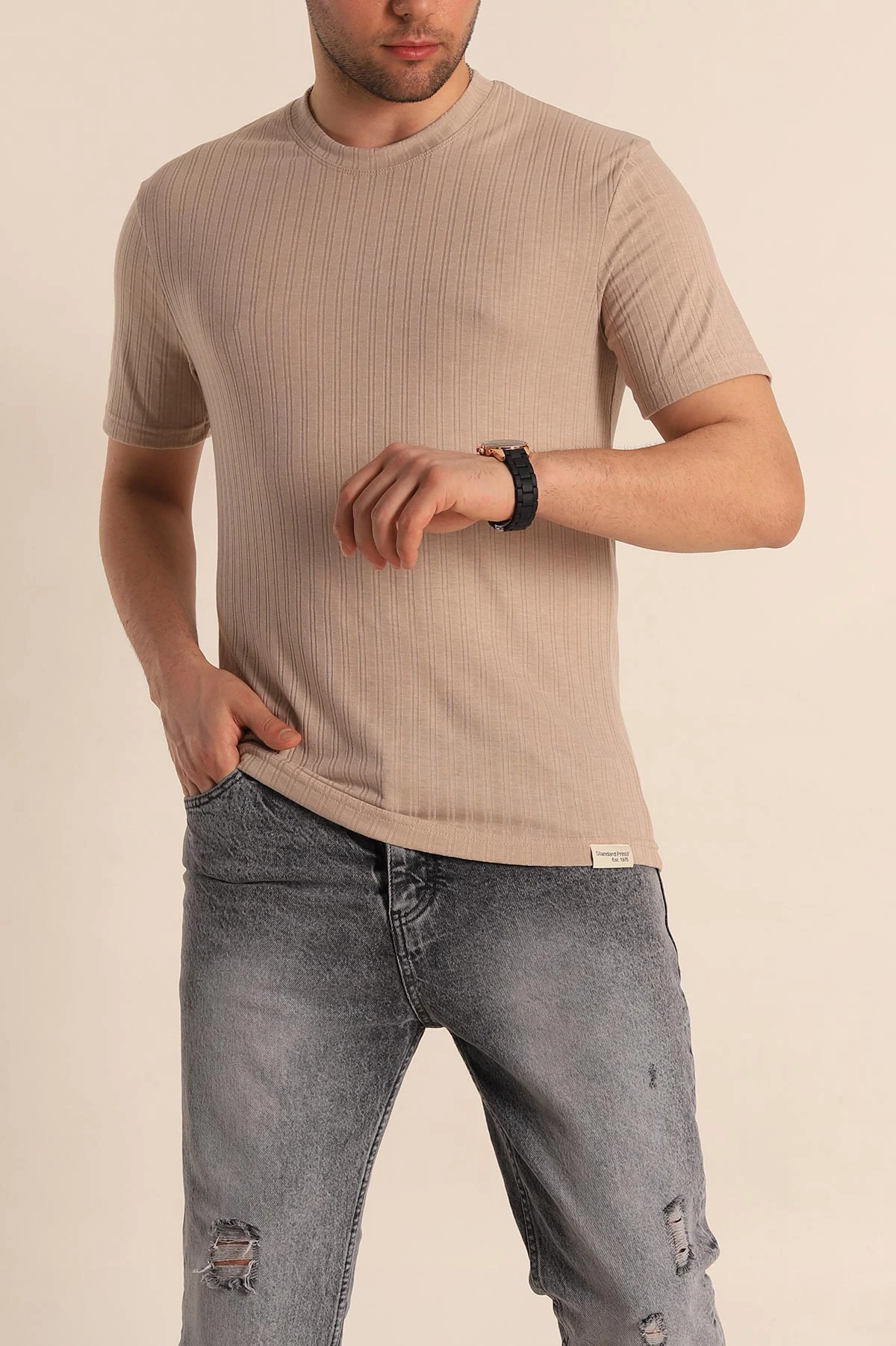 Bej Regular Fit Jakarlı Çizgi Dokulu Erkek Tişört 260478