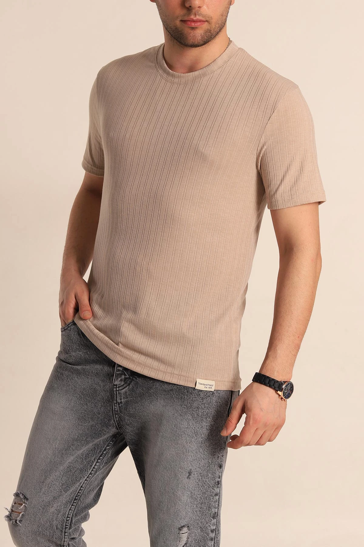 Bej Regular Fit Jakarlı Çizgi Dokulu Erkek Tişört 260478