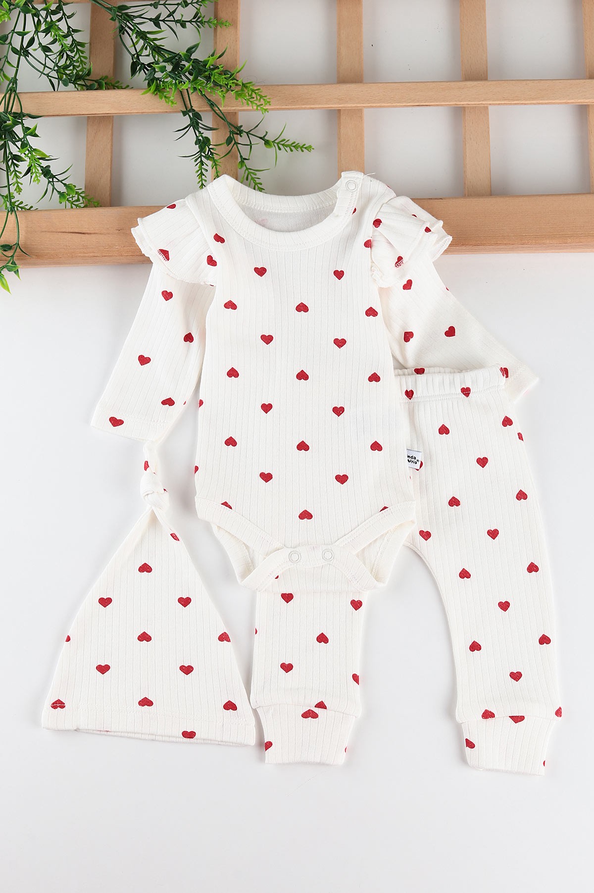 Beyaz (0-12 Ay) Kalp Baskılı Kol Fırfırlı 5'li Kız Bebe Takım 201362