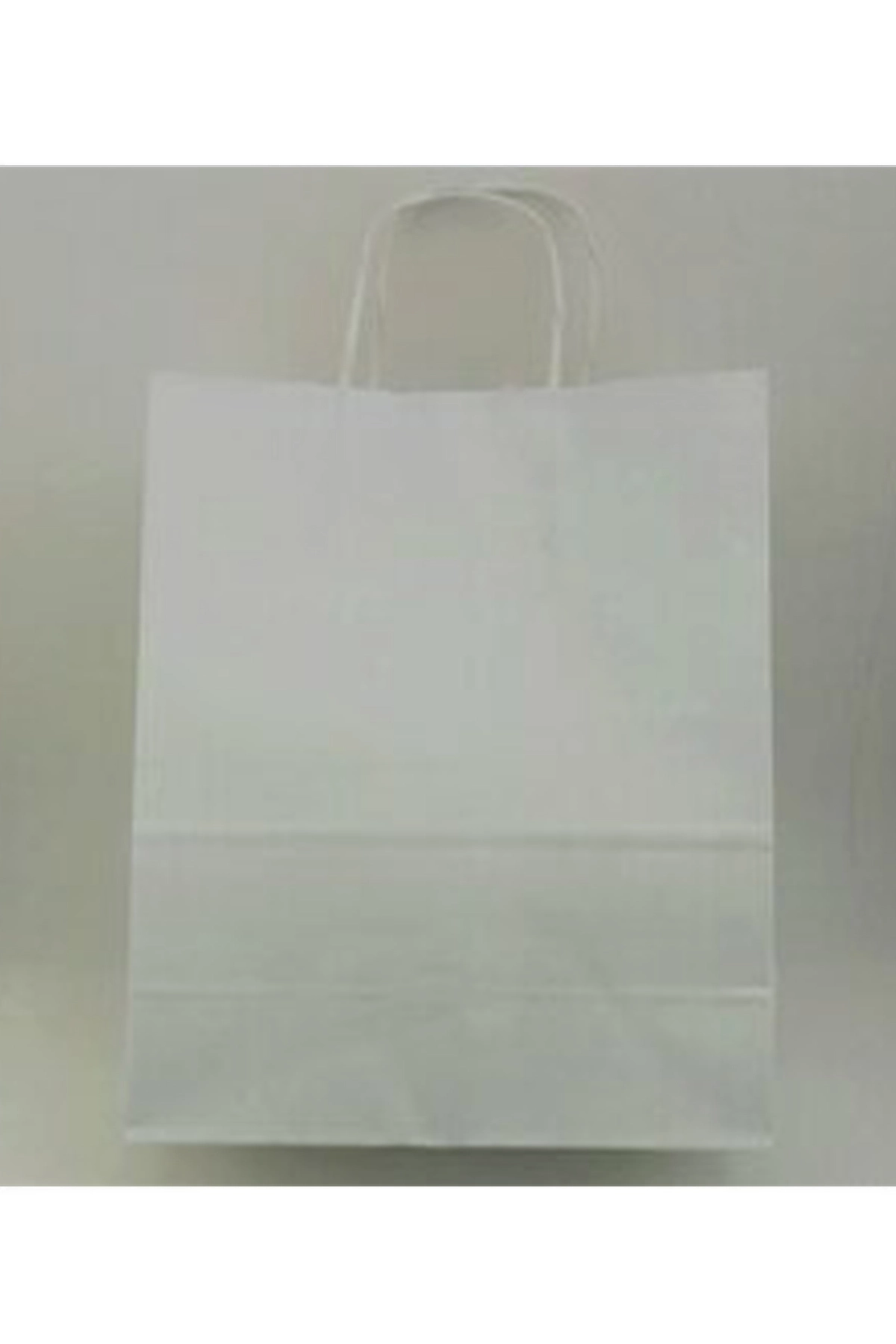 Beyaz 25x12x31 Büküm Saplı Çanta 5'li 301123