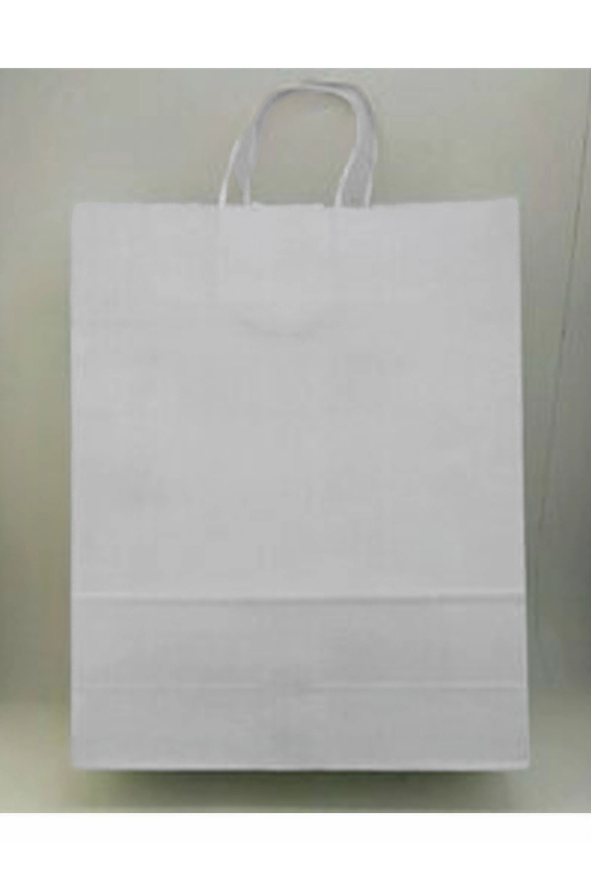 Beyaz 31x12x41 Büküm Saplı Çanta 5'li 301142
