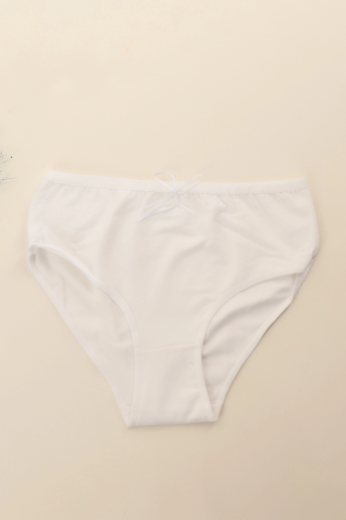 Beyaz Ch0721 Geniş Kenarlı Külot 288502
