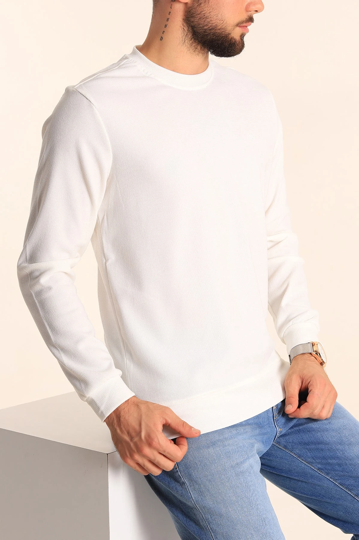 Beyaz Jakarlı Bisiklet Yaka Erkek Sweatshirt 236819