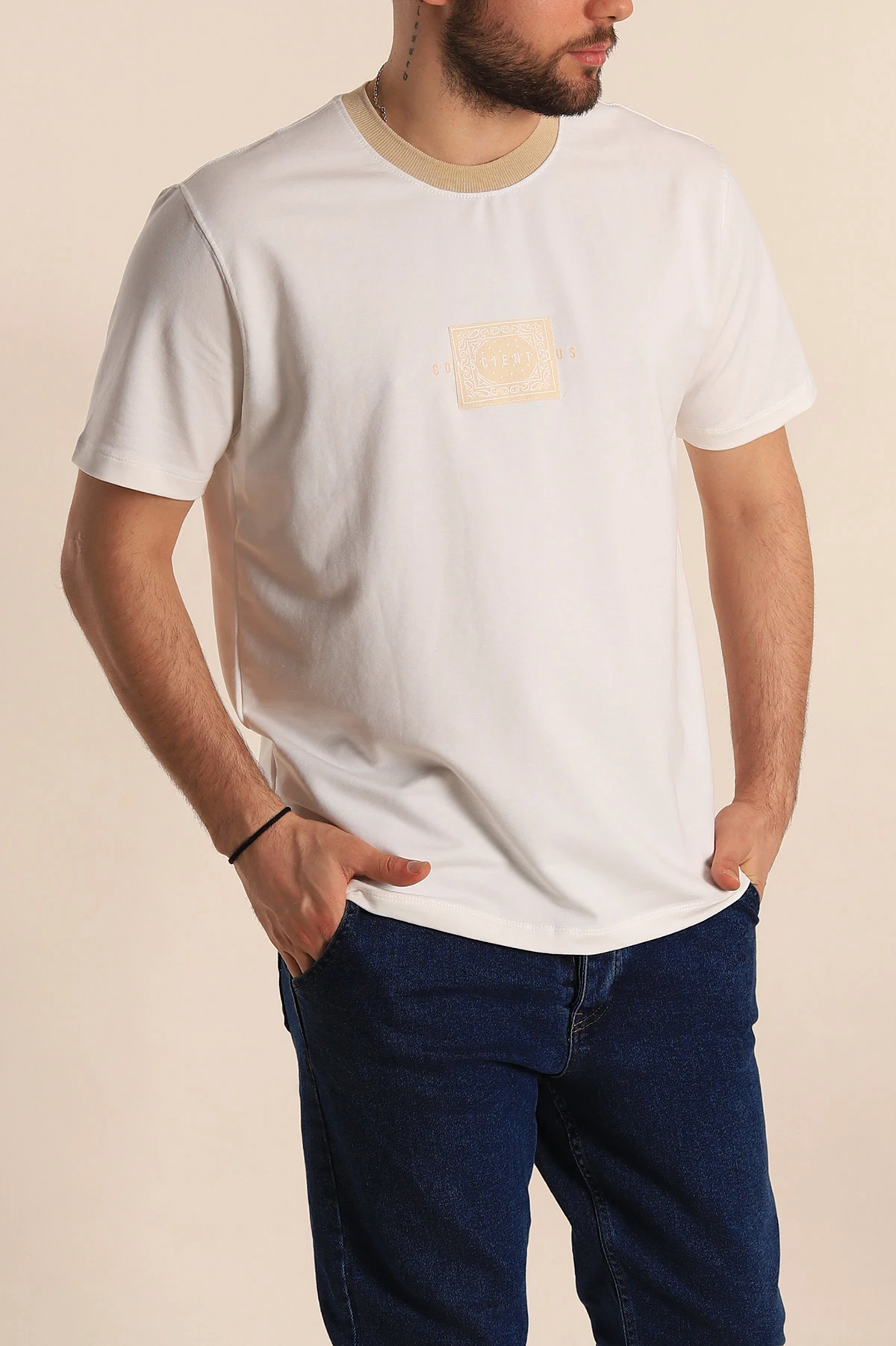 Beyaz Regular Fit Göğüs Baskılı Erkek Tişört 270636