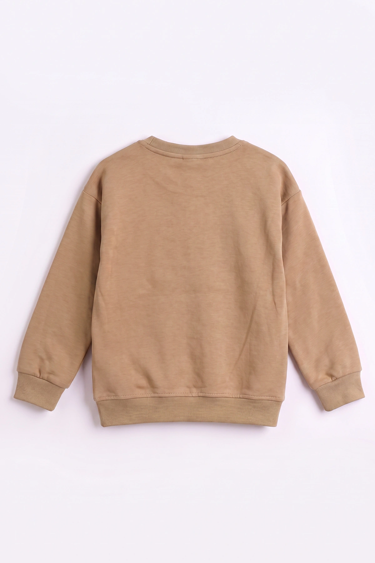 Bisküvi (3-12 Yaş) Dont Give Baskılı Erkek Çocuk Sweatshirt 479164