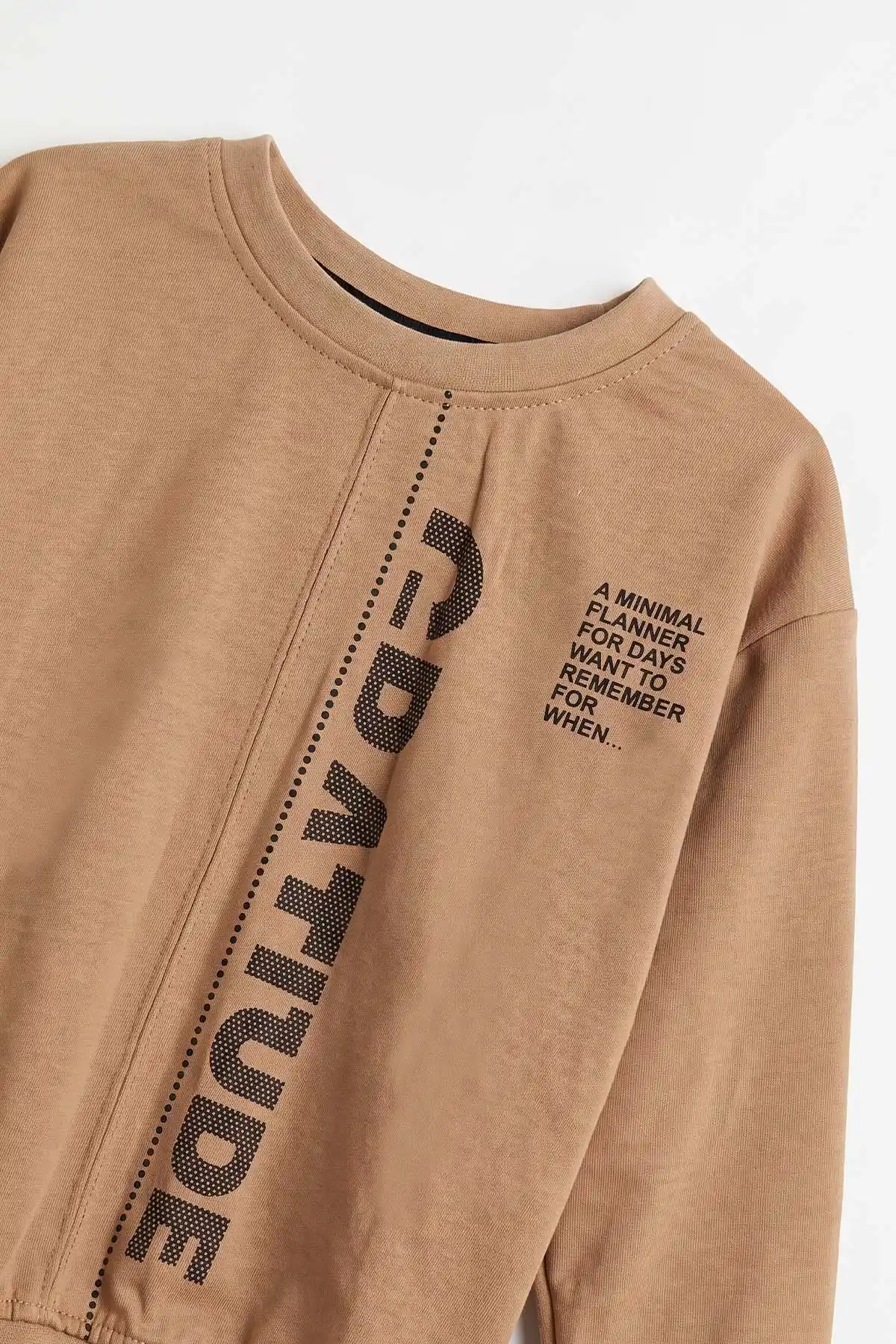 Bisküvi (3-12 Yaş) Yazı Baskılı Erkek Çocuk Sweatshirt 478989