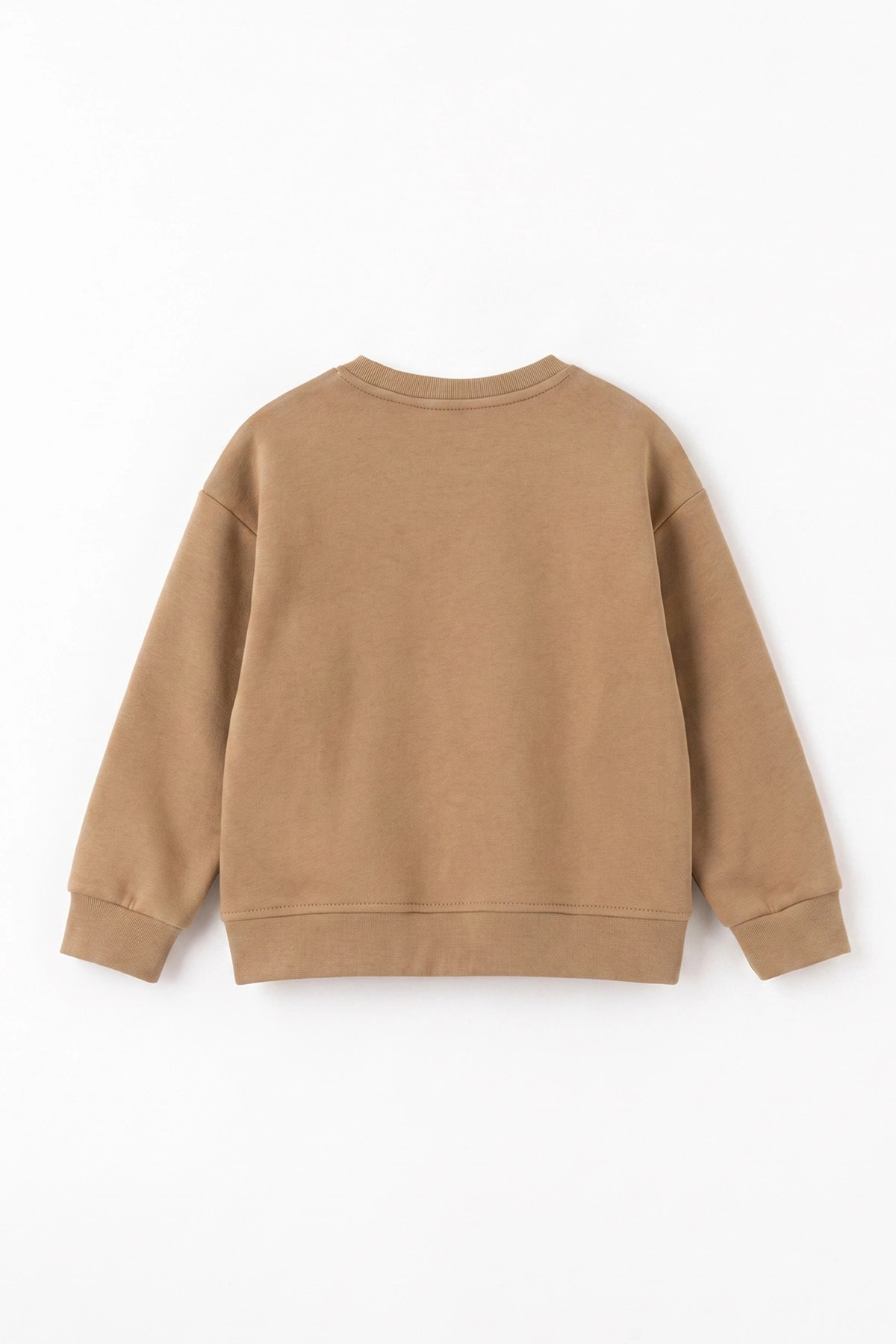 Bisküvi (3-12 Yaş) Yazı Nakışlı Erkek Çocuk Sweatshirt 473815