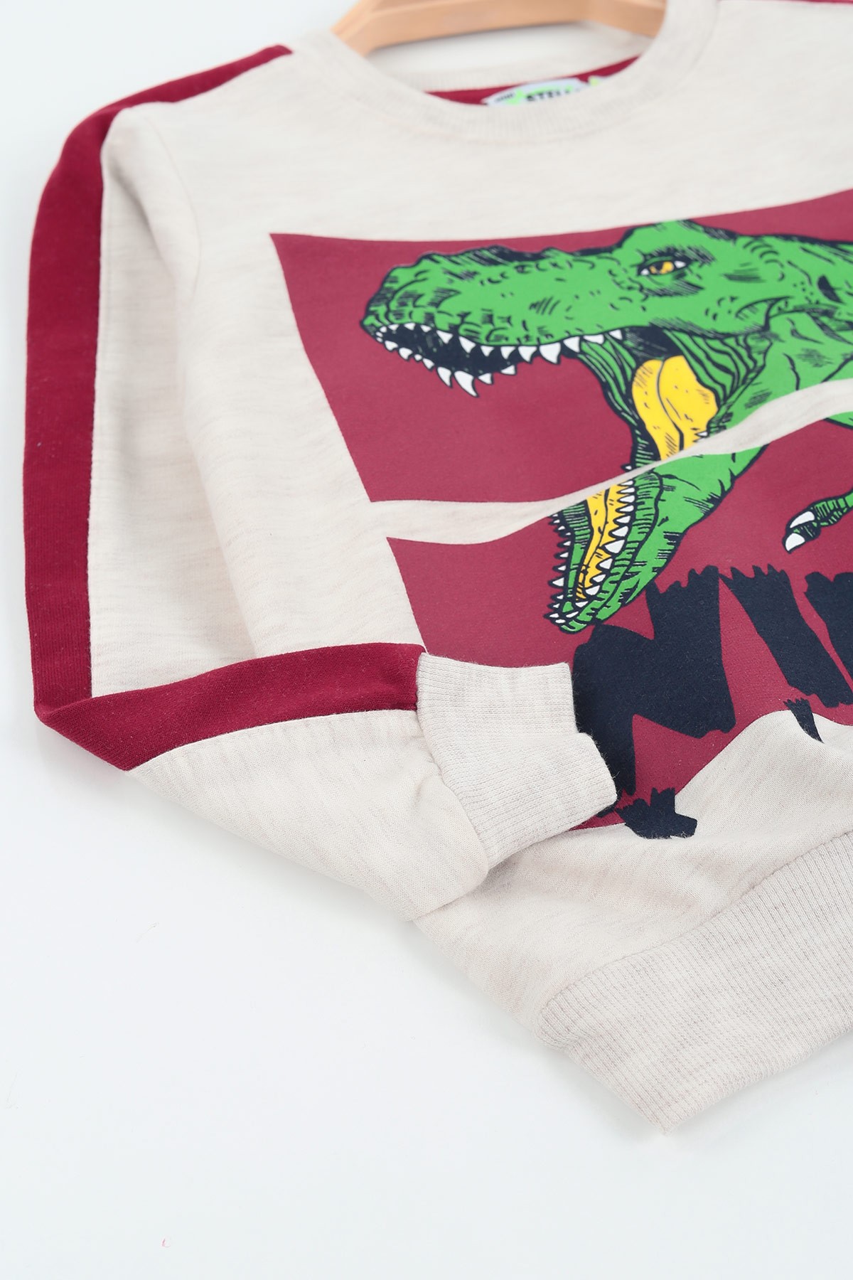 Bordo (4-8 Yaş) Wıld Kıng Dinosaur Baskılı İki İp Erkek Çocuk Takım 137553