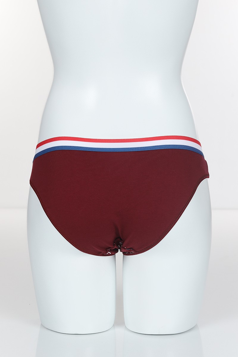 Bordo 4309 Bikini Pamuk Lave Secret Baskılı Külot 101798