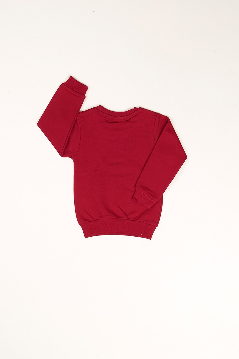 Bordo İçi Şardonlu Monster Baskılı Erkek Çocuk Sweat 80970