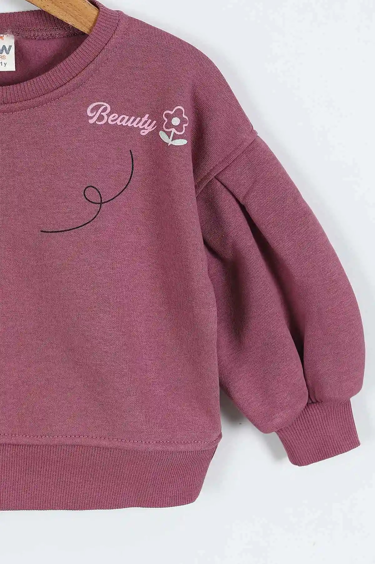 Eflatun (0-4 Yaş)Çiçek Nakışlı Baskılı  3 İp Şardonlu Kız Çocuk Sweatshirt 417580