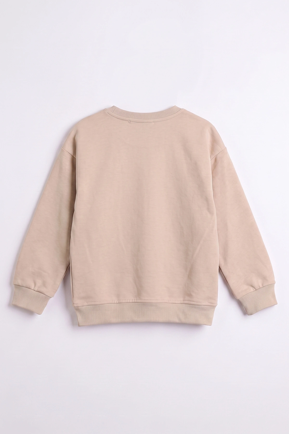 Ekru (3-12 Yaş) Dont Give Baskılı Erkek Çocuk Sweatshirt 479169