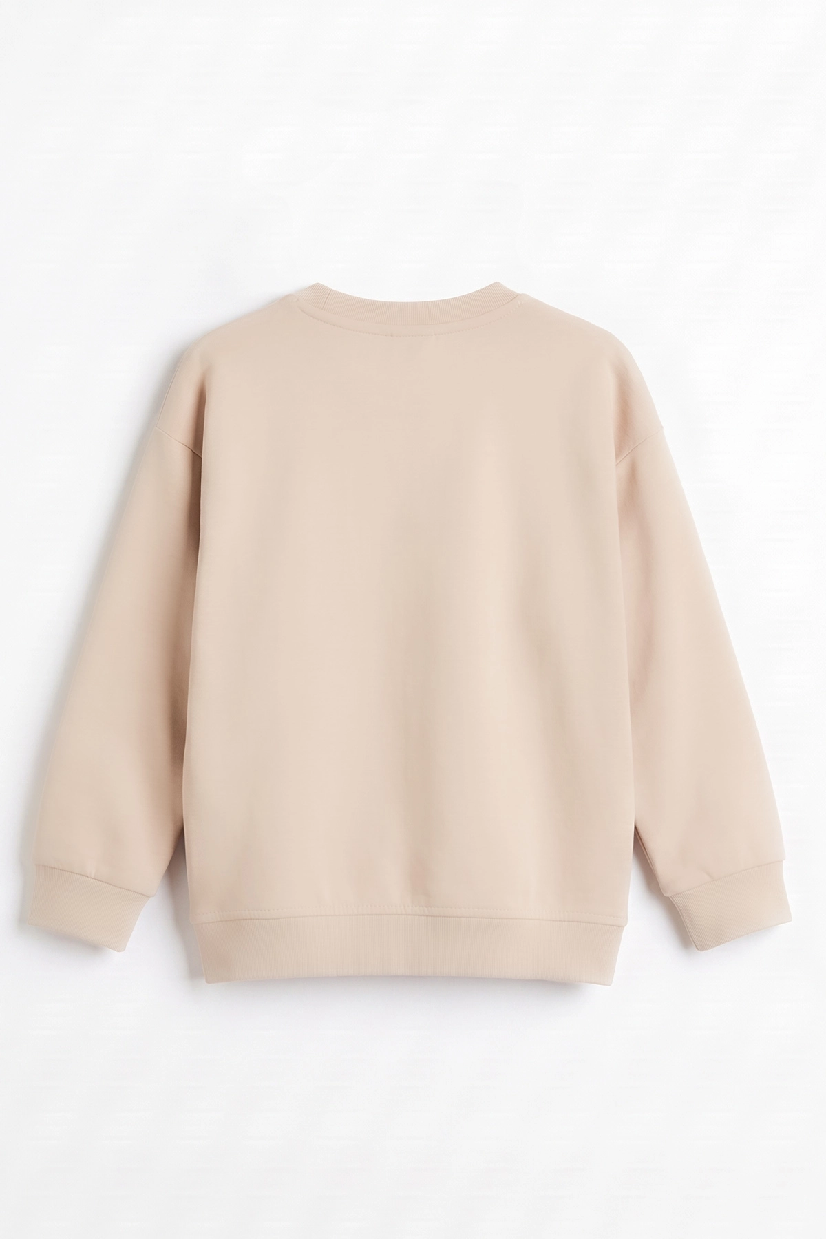 Ekru (3-12 Yaş) Yazı Baskılı Erkek Çocuk Sweatshirt 478992