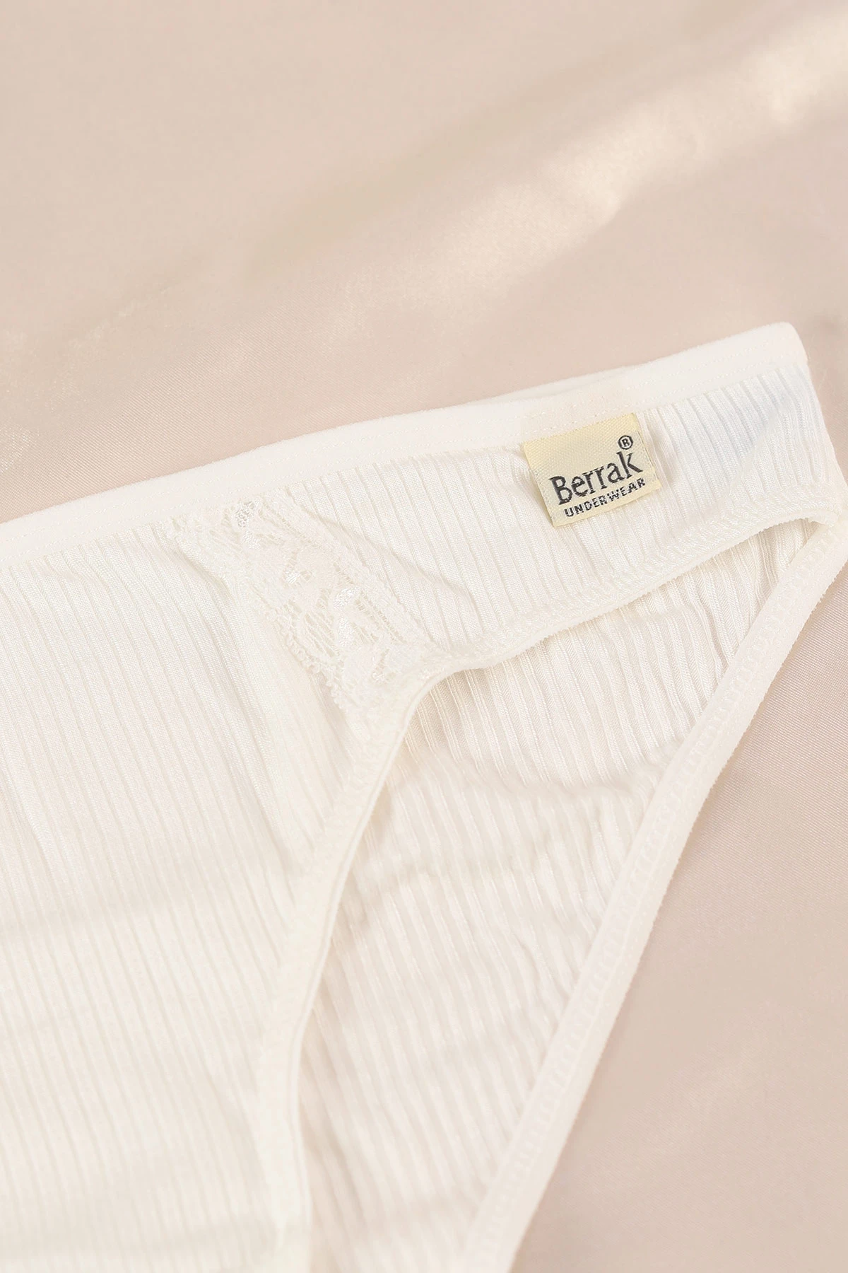 Ekru Berrak Dantel İşlemeli Kadın Bikini Külot 370211